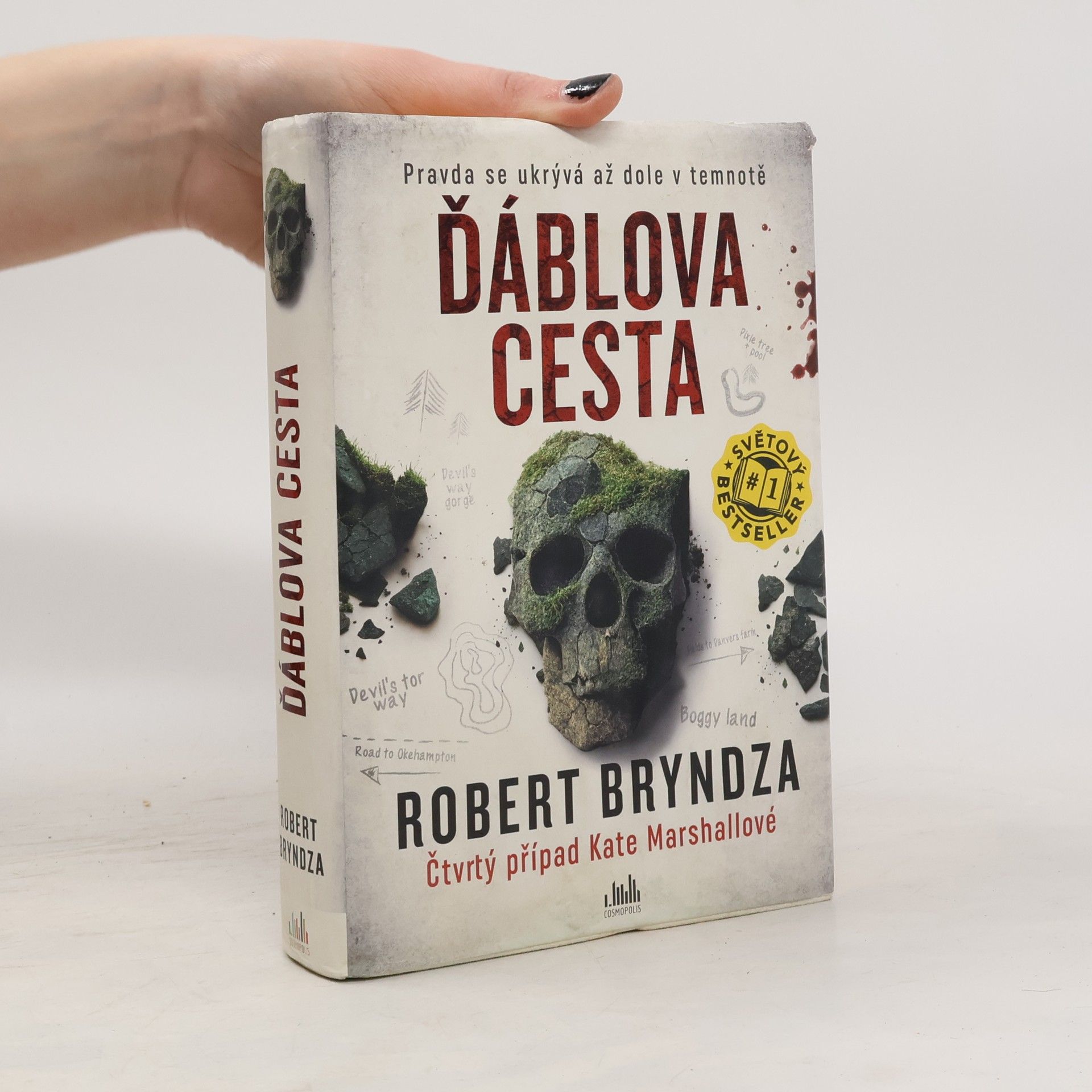 Robert Bryndza Ďáblova cesta