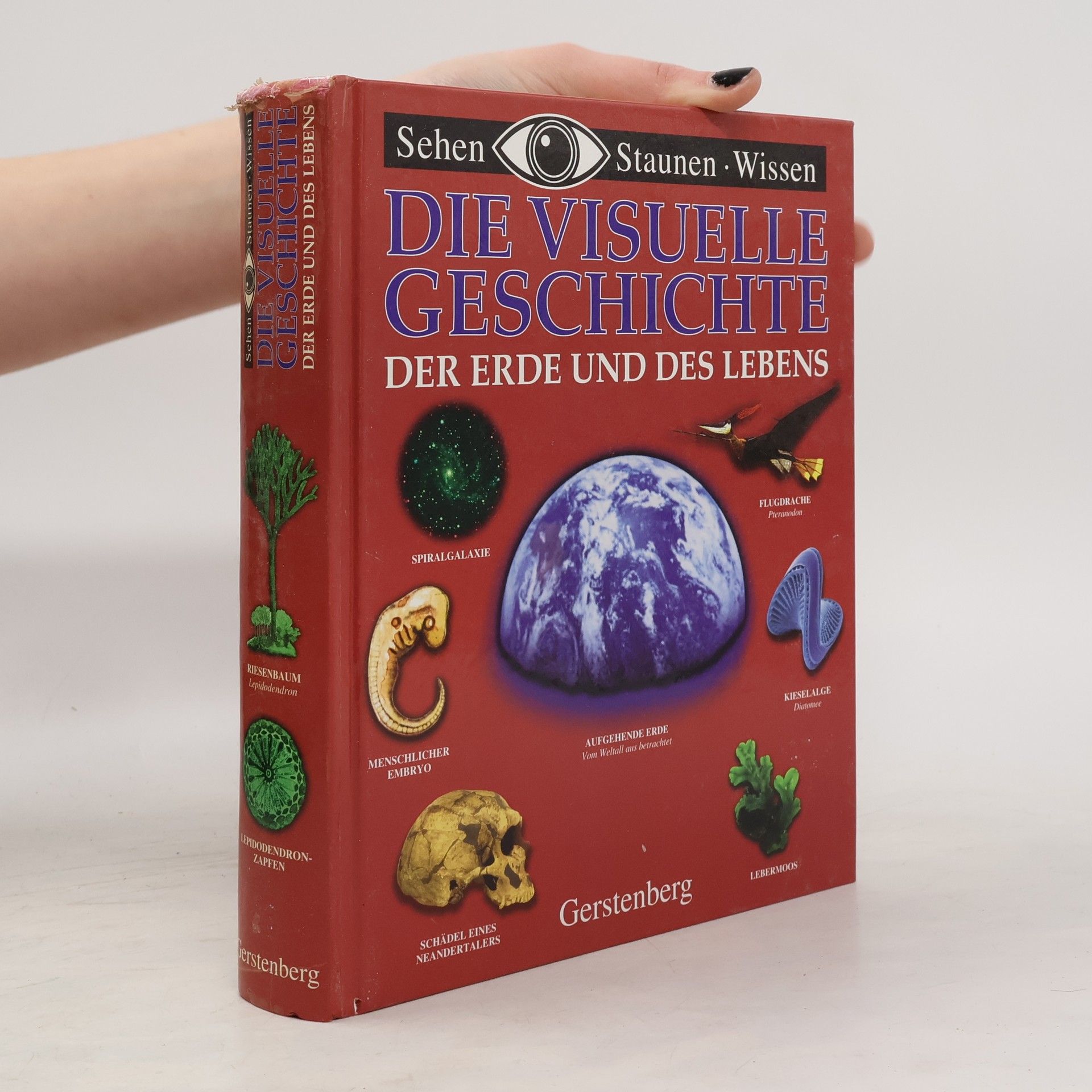 Edmund Jacoby Die visuelle Geschichte der Erde und des Lebens