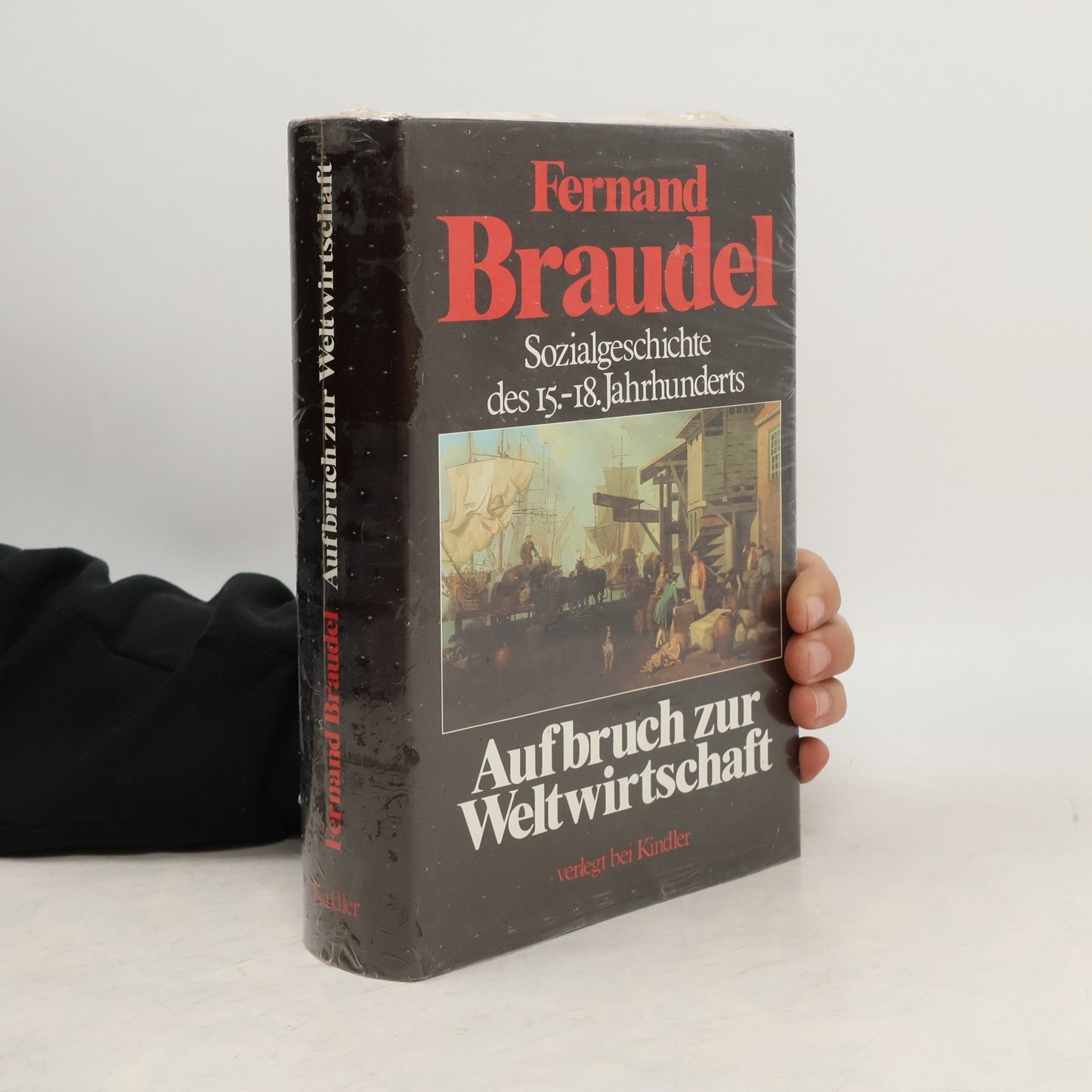 Sozialgeschichte des 15.-18. Jahrhunderts: Aufbruch zur Weltwirstchaft