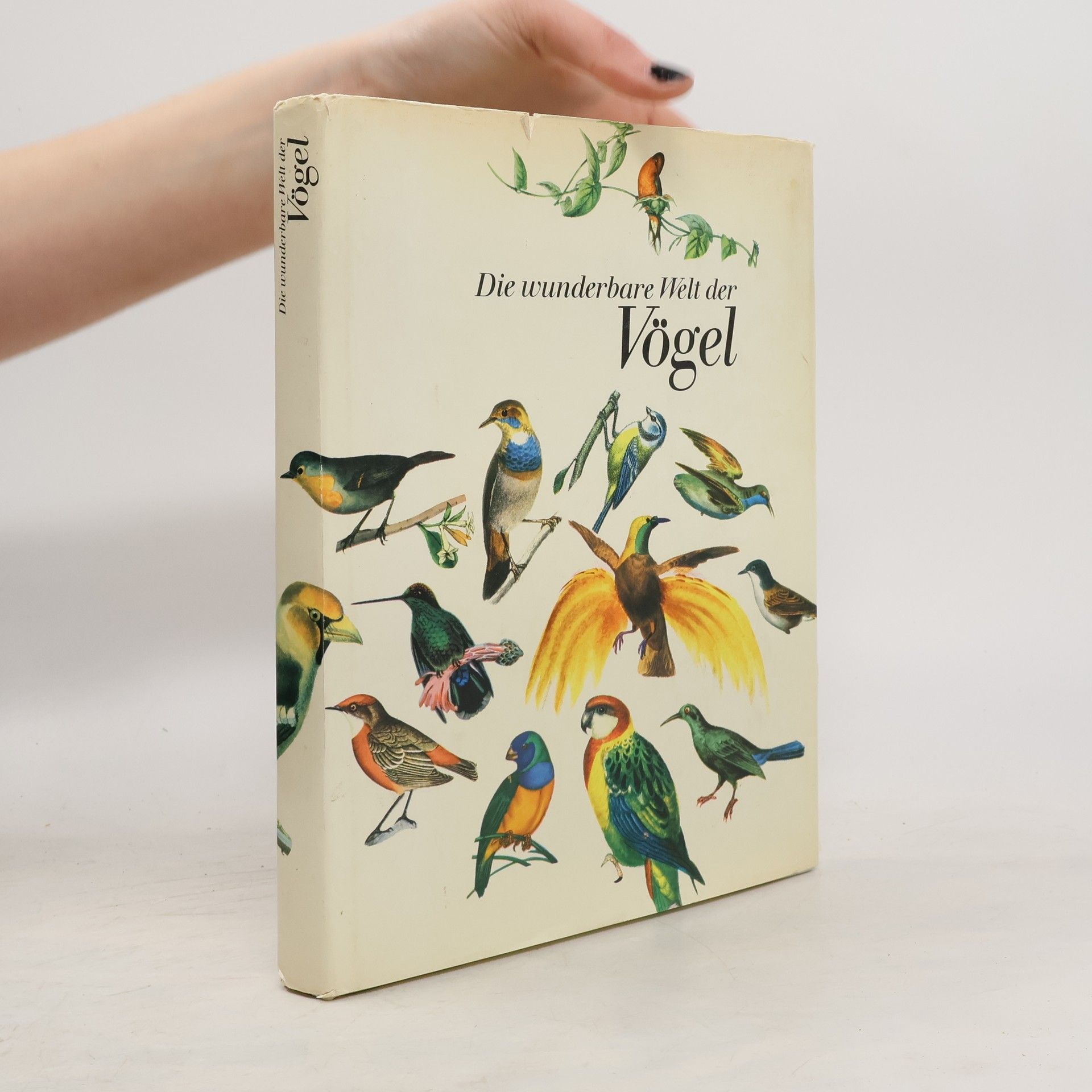 Various authors Die wunderbare Welt der Vögel