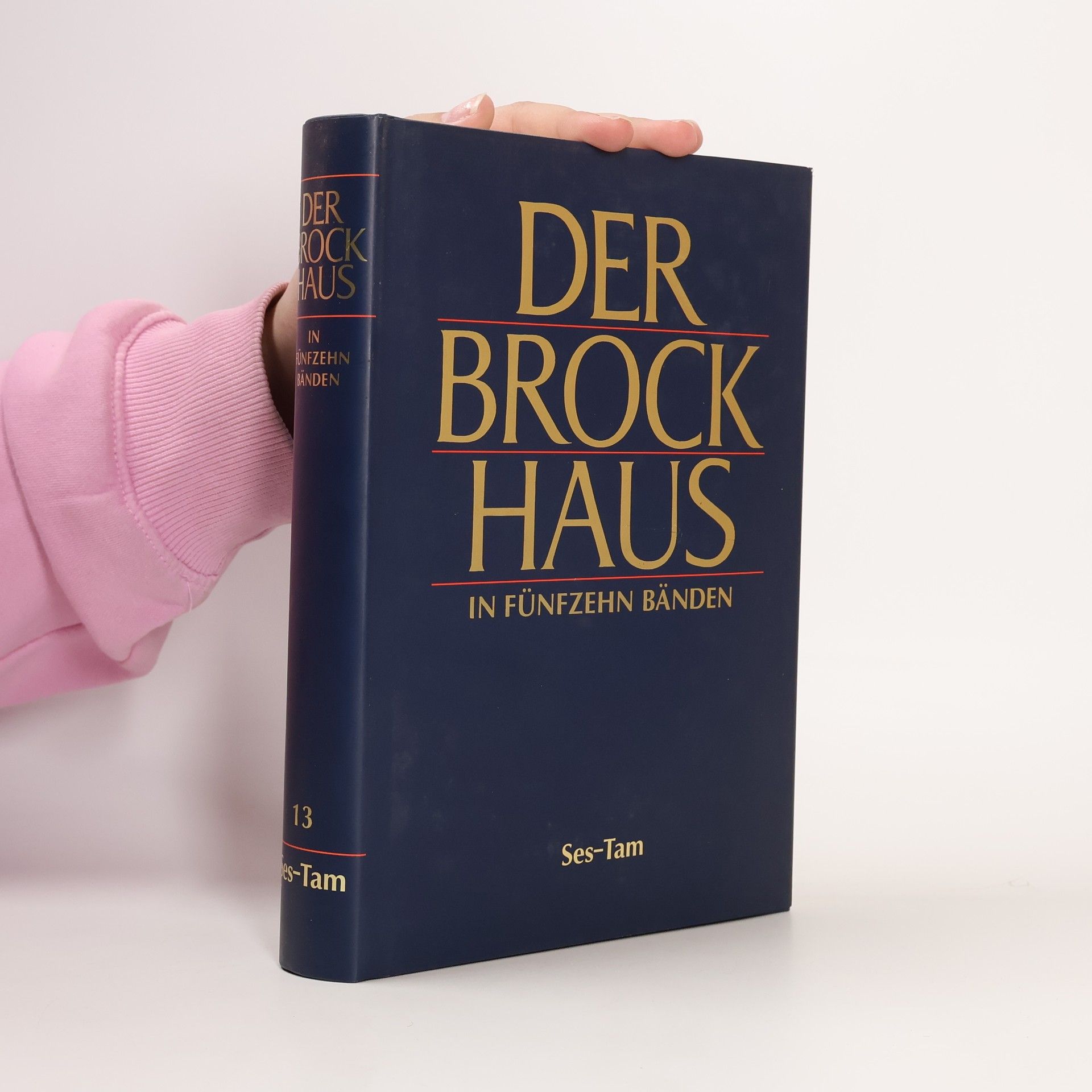 Autorenkollektiv Der Brock Haus in fünfzehn Bänden 13. Ses-Tam