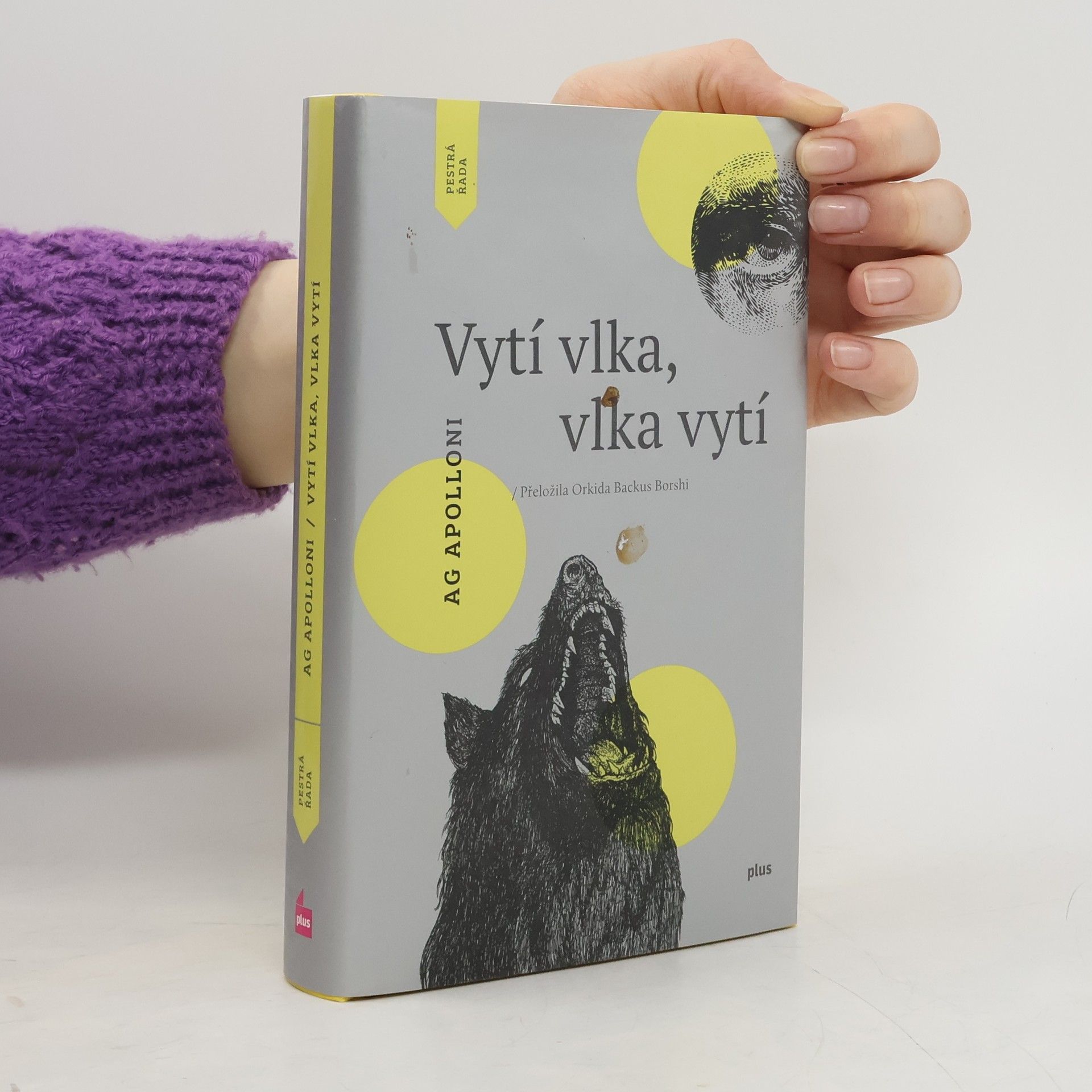 Ag Apolloni Vytí vlka, vlka vytí