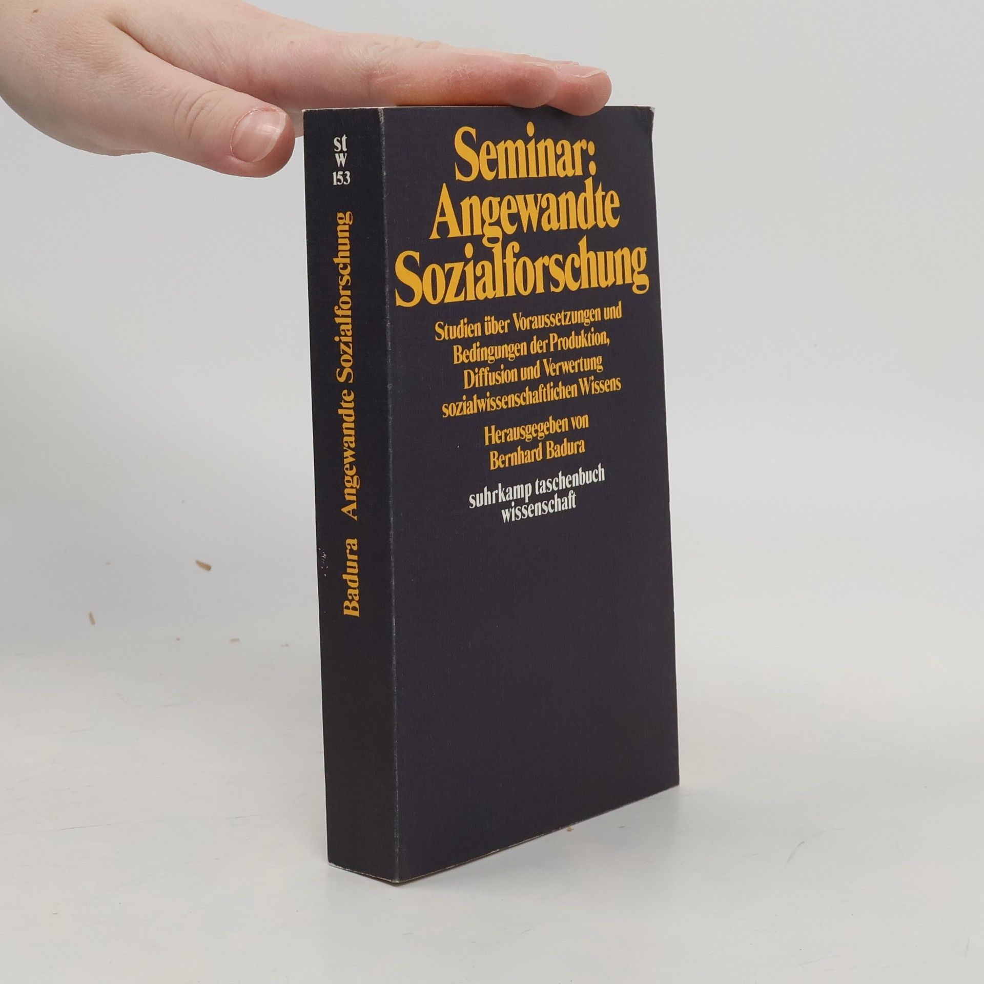 Bernhard Badura Seminar angewandte Sozialforschung