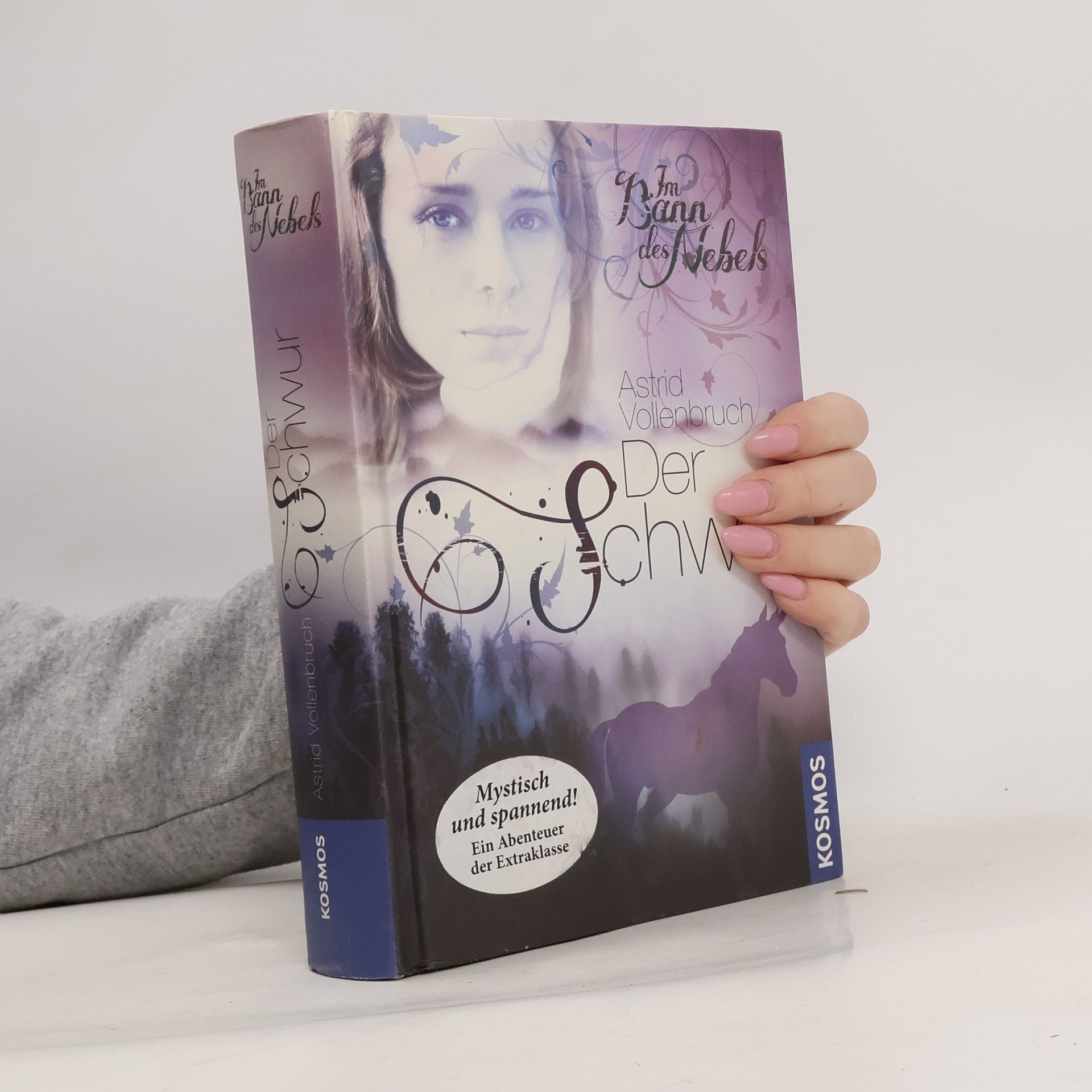 Astrid Vollenbruch Im Bann des Nebels. Der Schwur