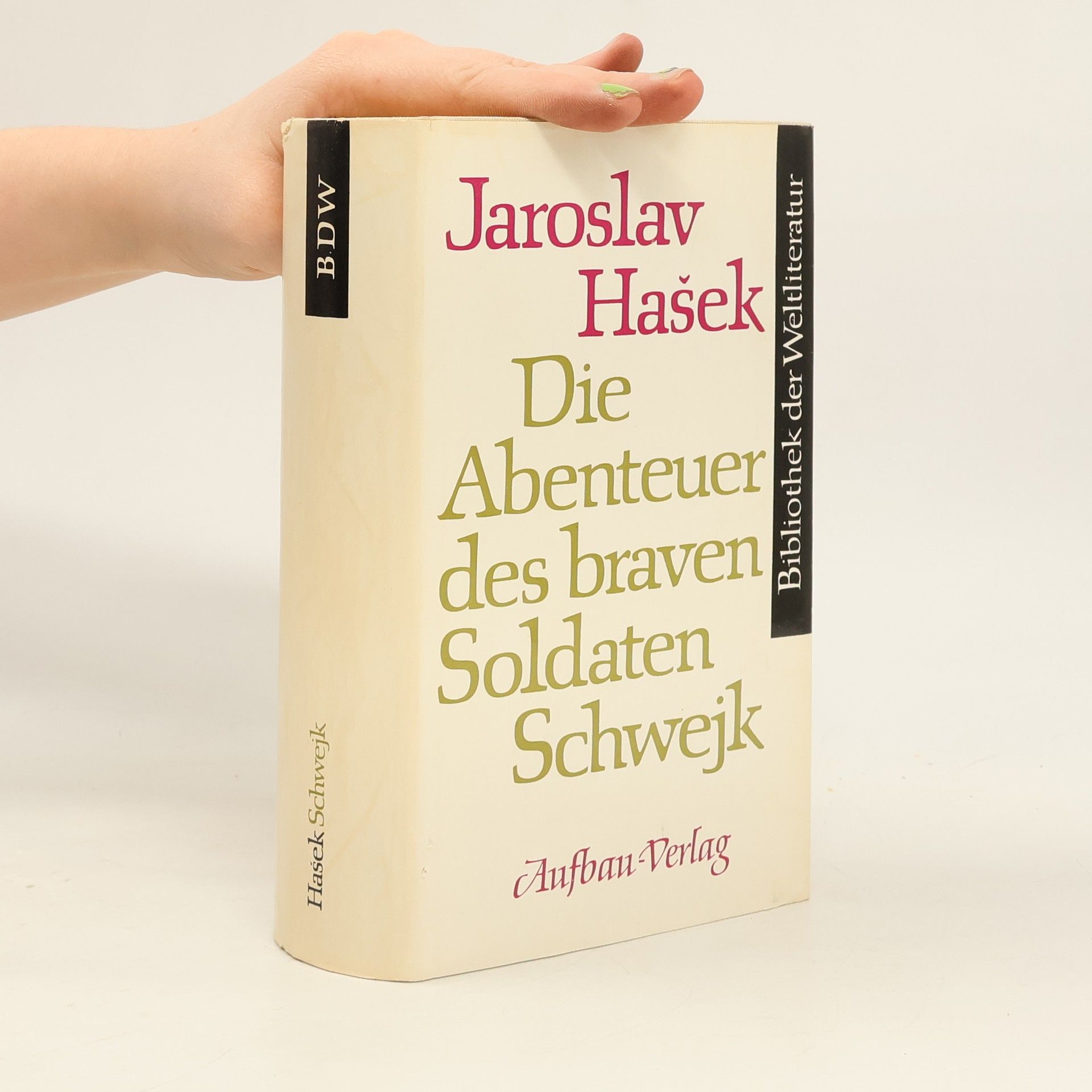 Jaroslav Hašek Die Abenteuer des braven Soldaten Schwejk