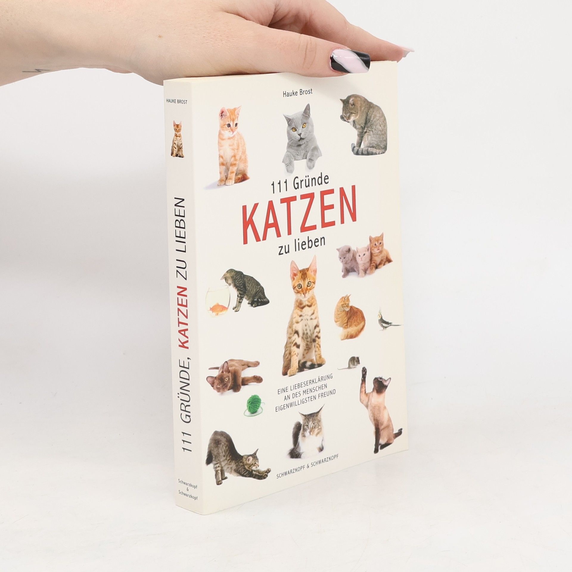 Hauke Brost 111 Gründe, Katzen zu lieben
