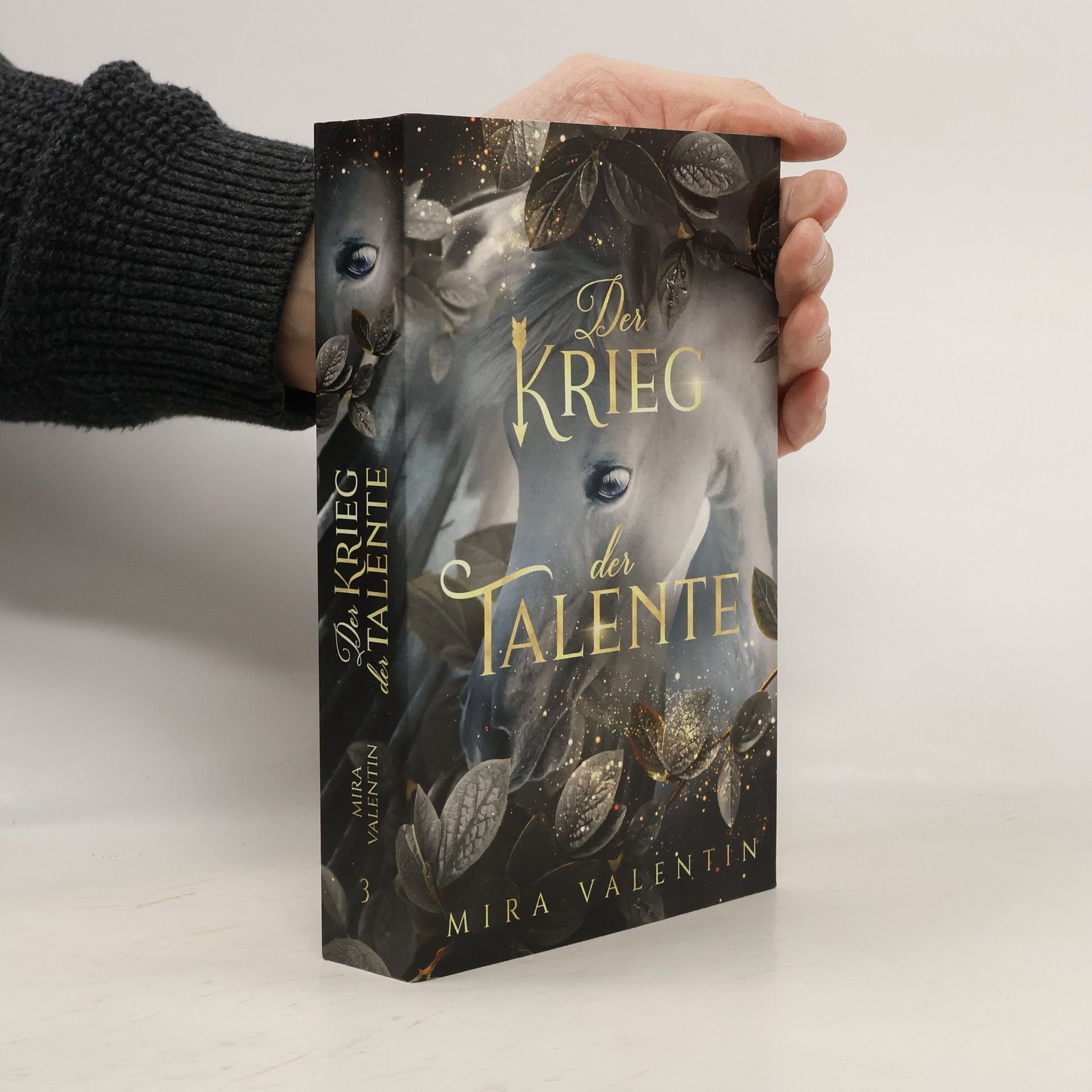Mira Valentin Talente-Reihe - 3: Der Krieg der Talente