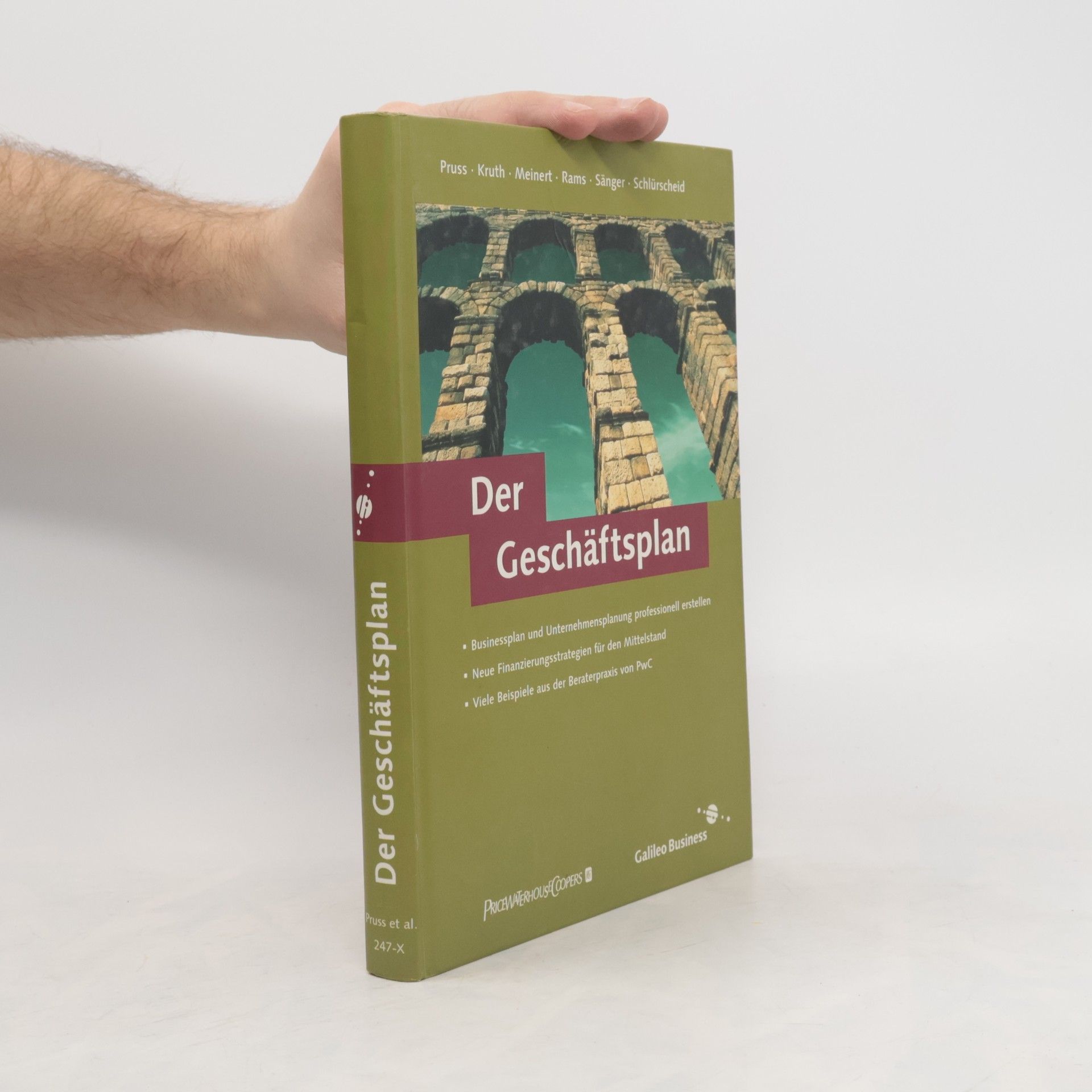 Roland Pruss Der Geschäftsplan