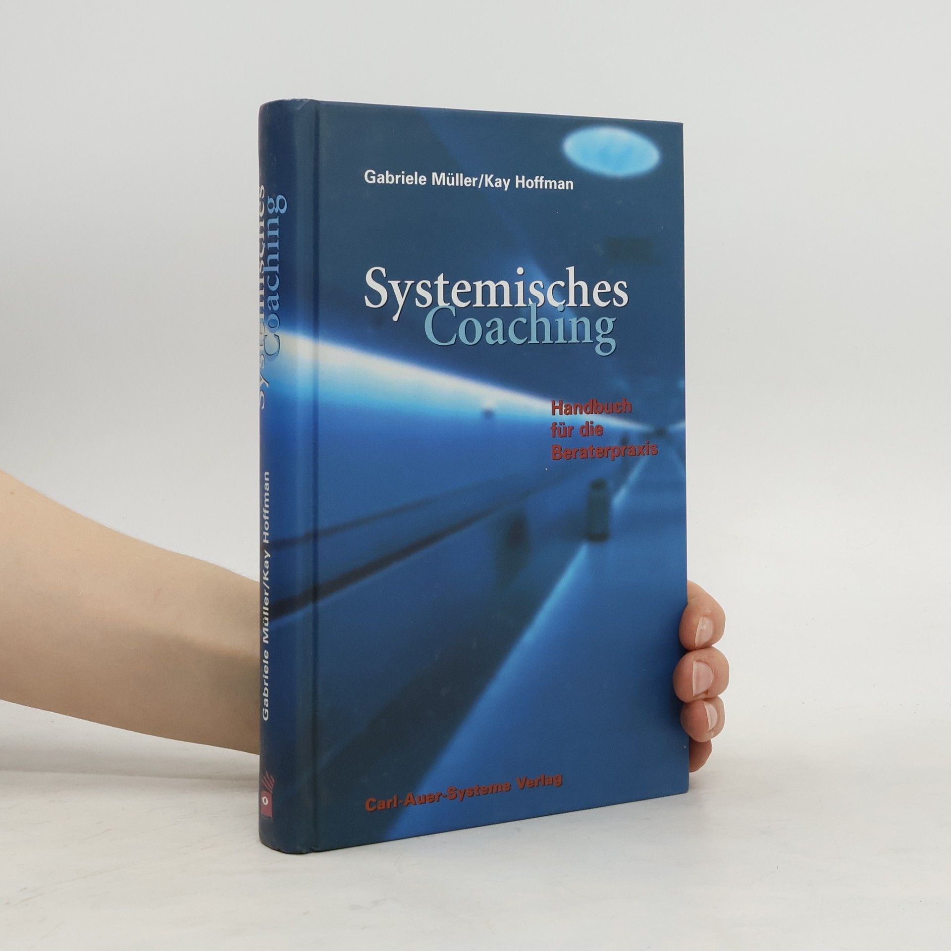 Systemisches Coaching