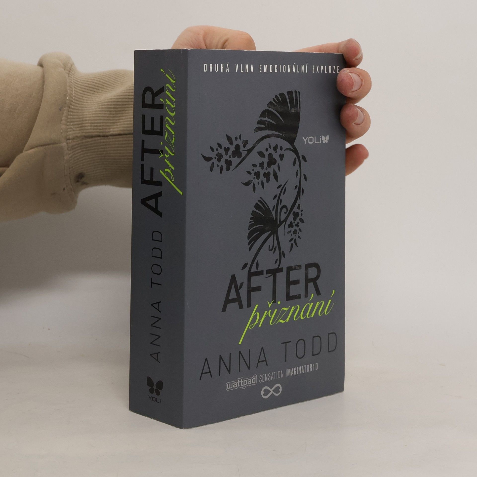 Anna Todd After. Přiznání