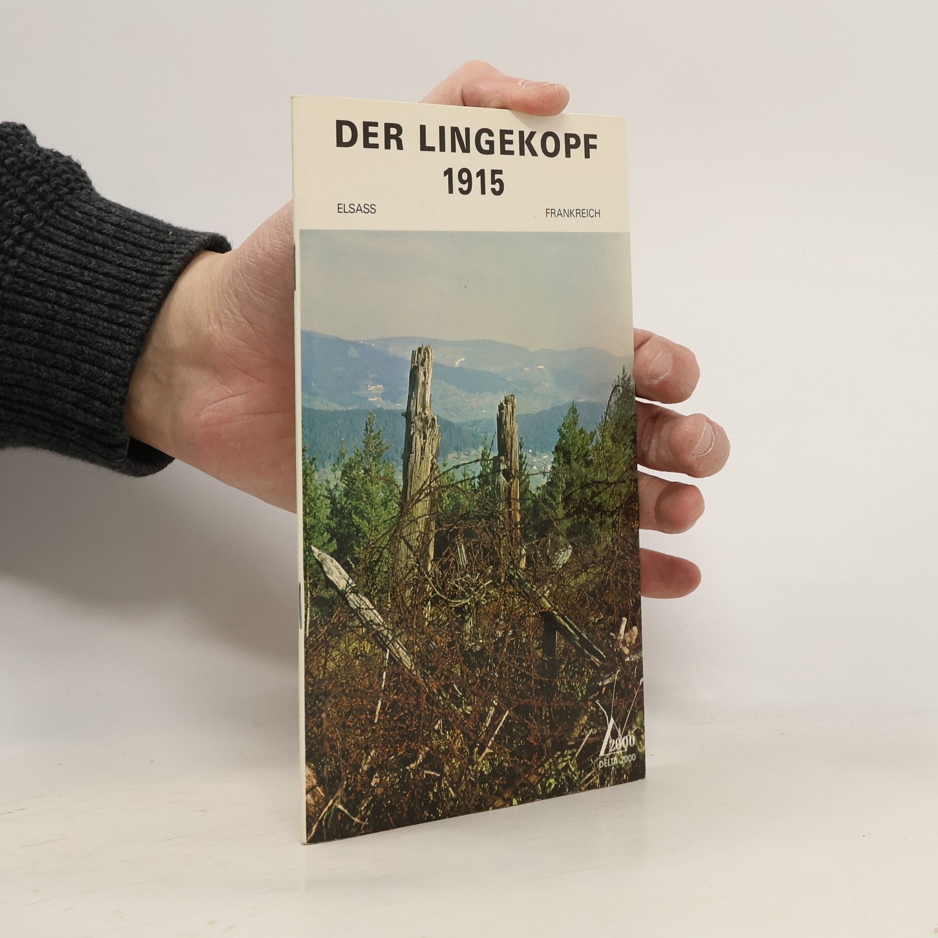 Armand Durlewanger Der Lingekopf 1915