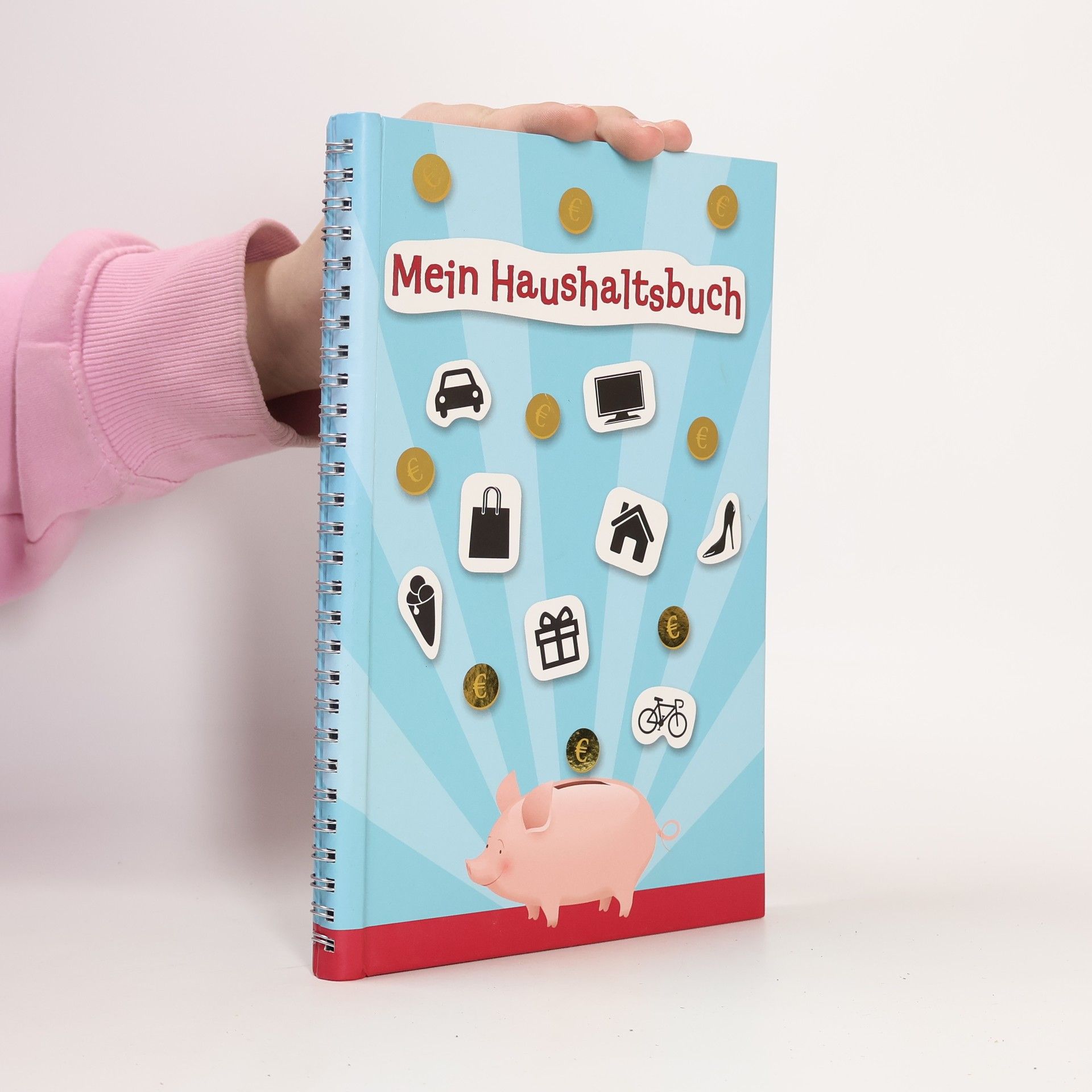 AA.VV. Mein Haushaltsbuch