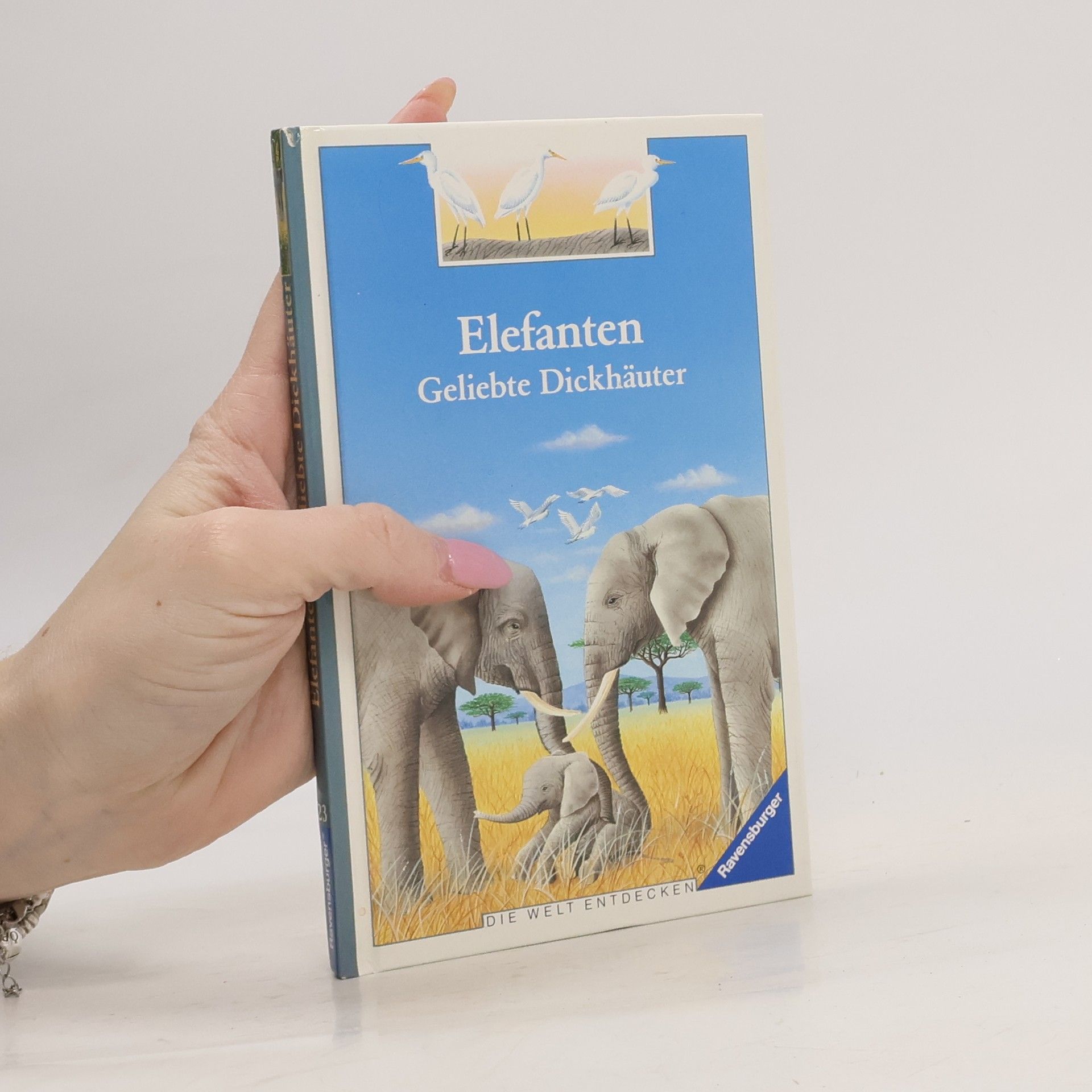 Pierre Pfeffer Elefanten - geliebte Dickhäuter