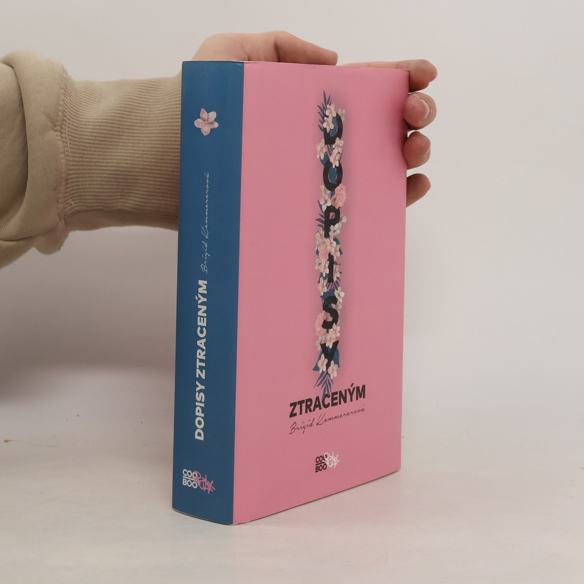 Brigid Kemmerer Dopisy ztraceným