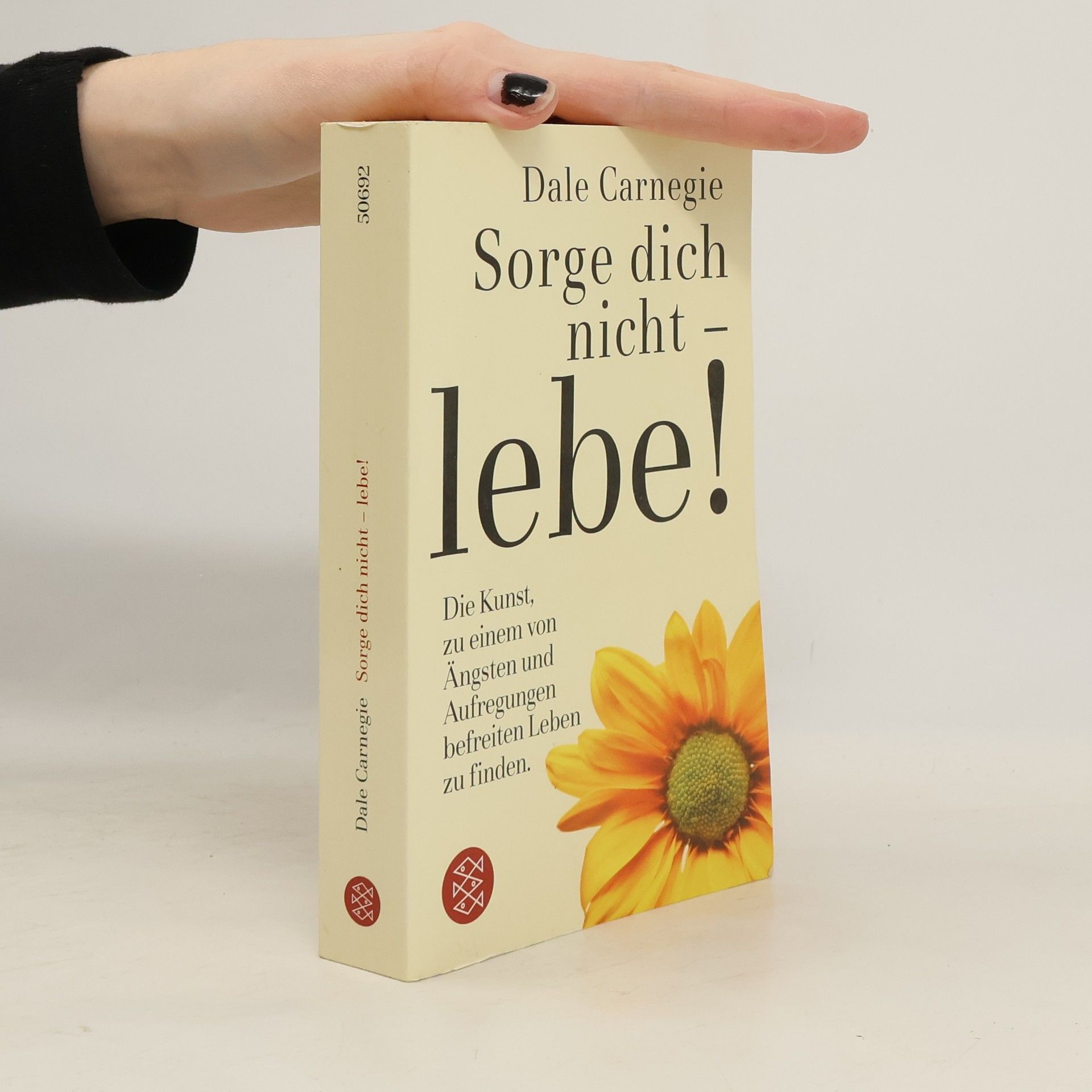 Dale Carnegie Sorge dich nicht - lebe!