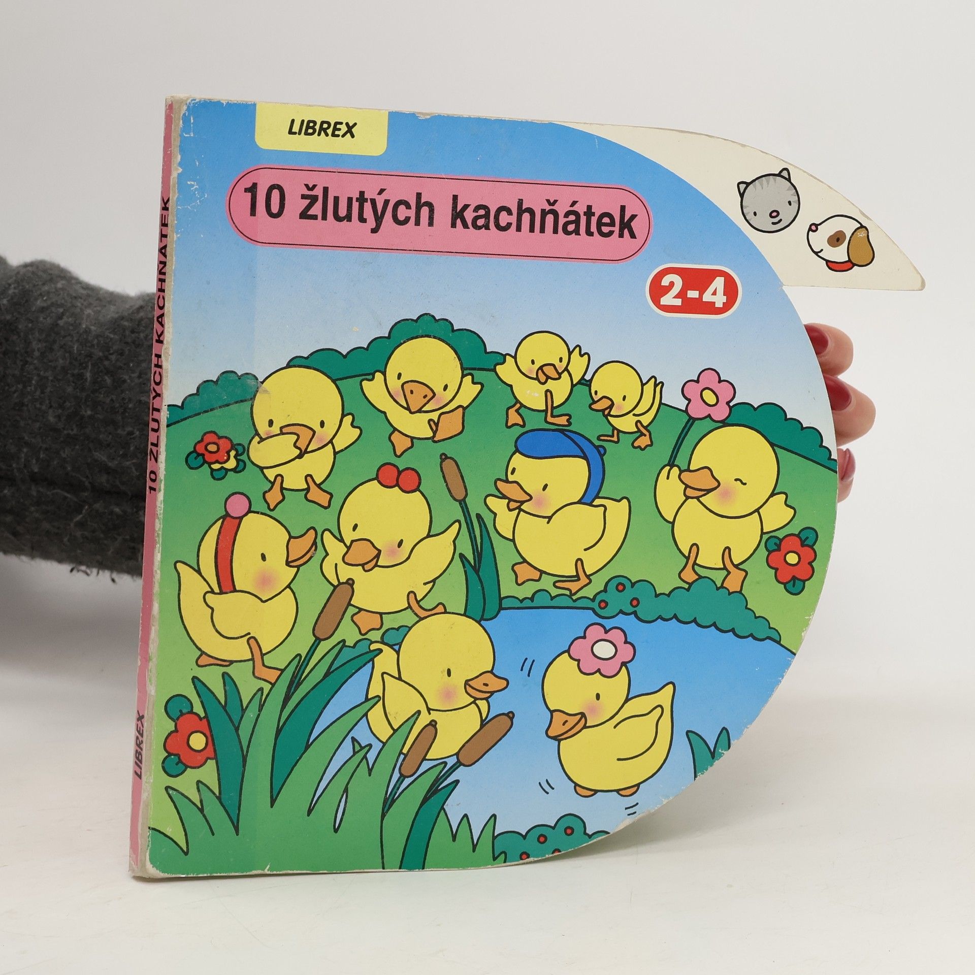 Deset žlutých kachňátek