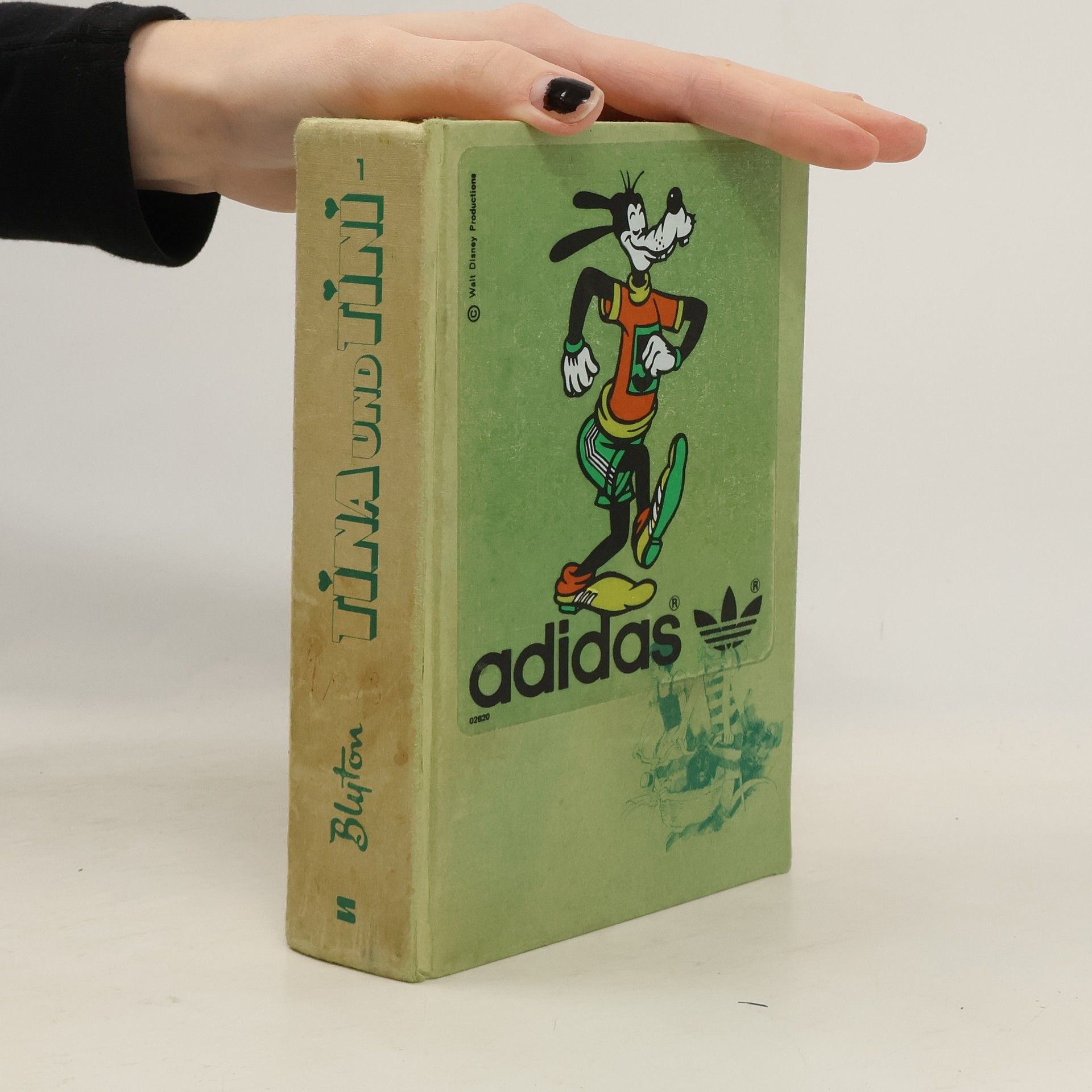 Enid Blyton Tina und Tini 1