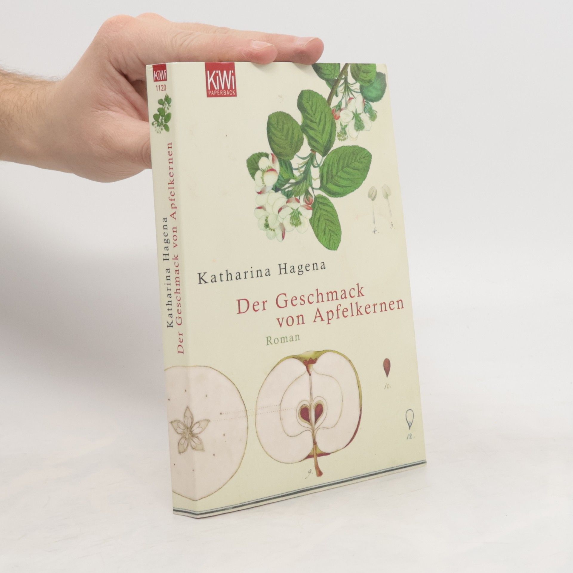 Katharina Hagena Der Geschmack von Apfelkernen