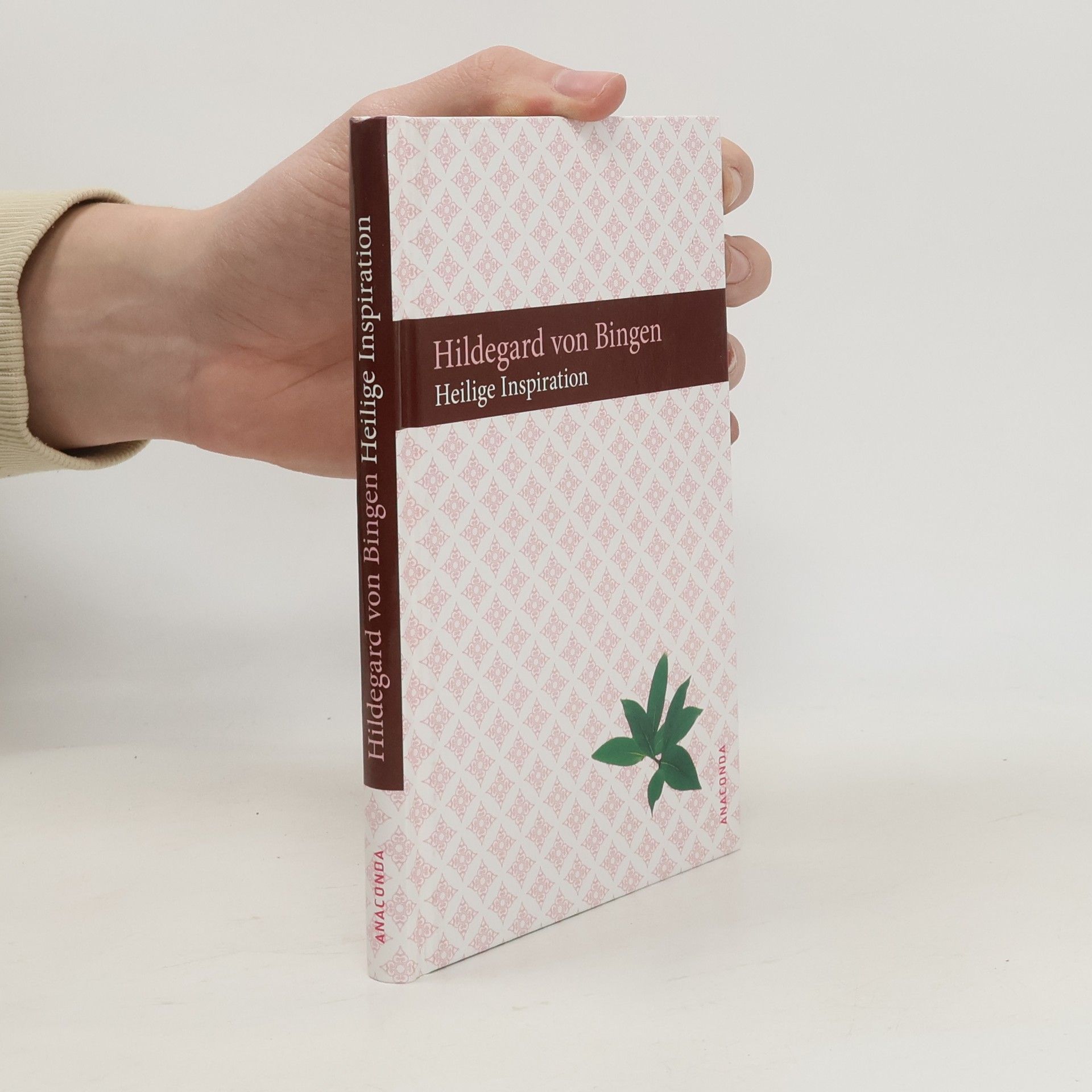 Hildegard of Bingen Heilige Inspiration