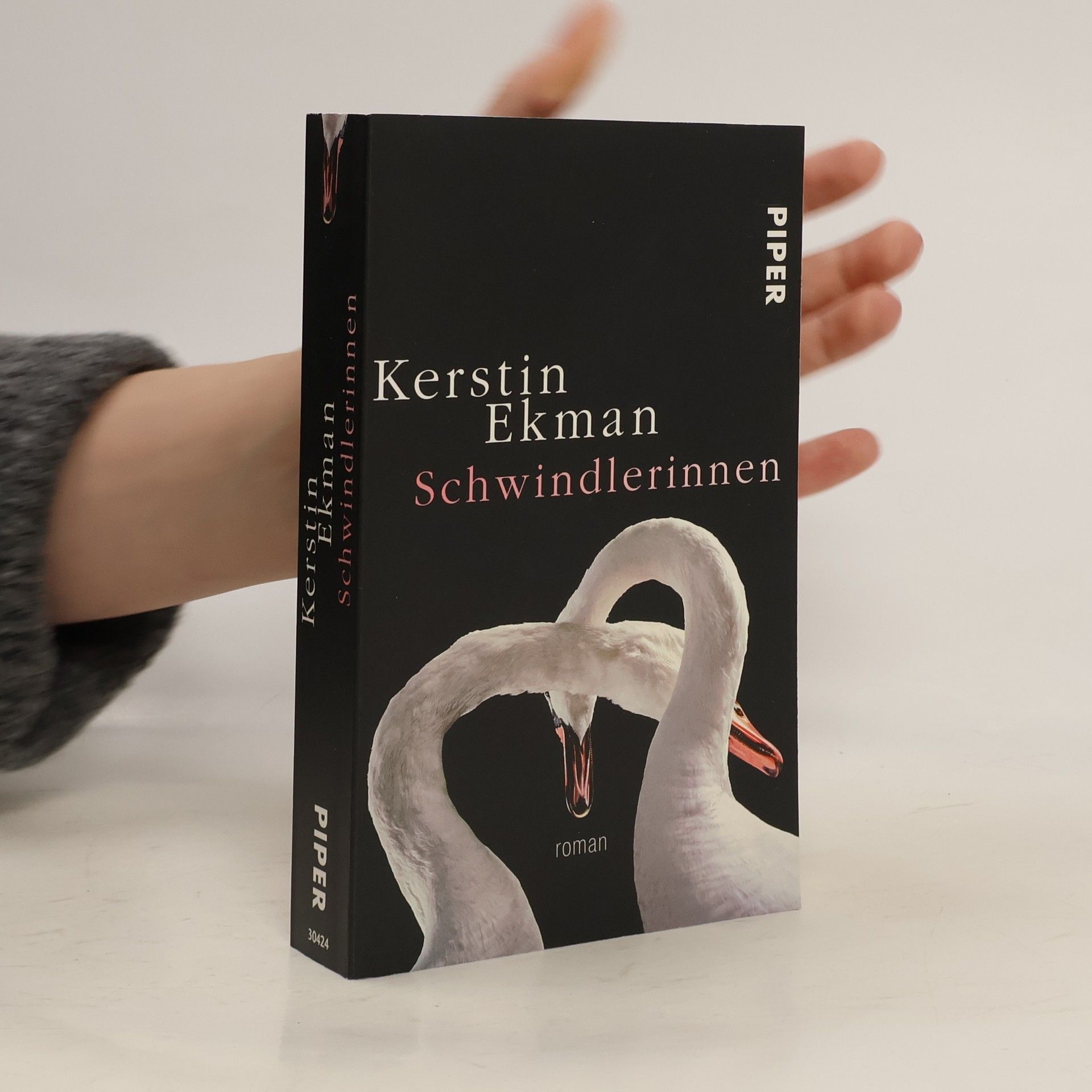 Kerstin Ekman Schwindlerinnen