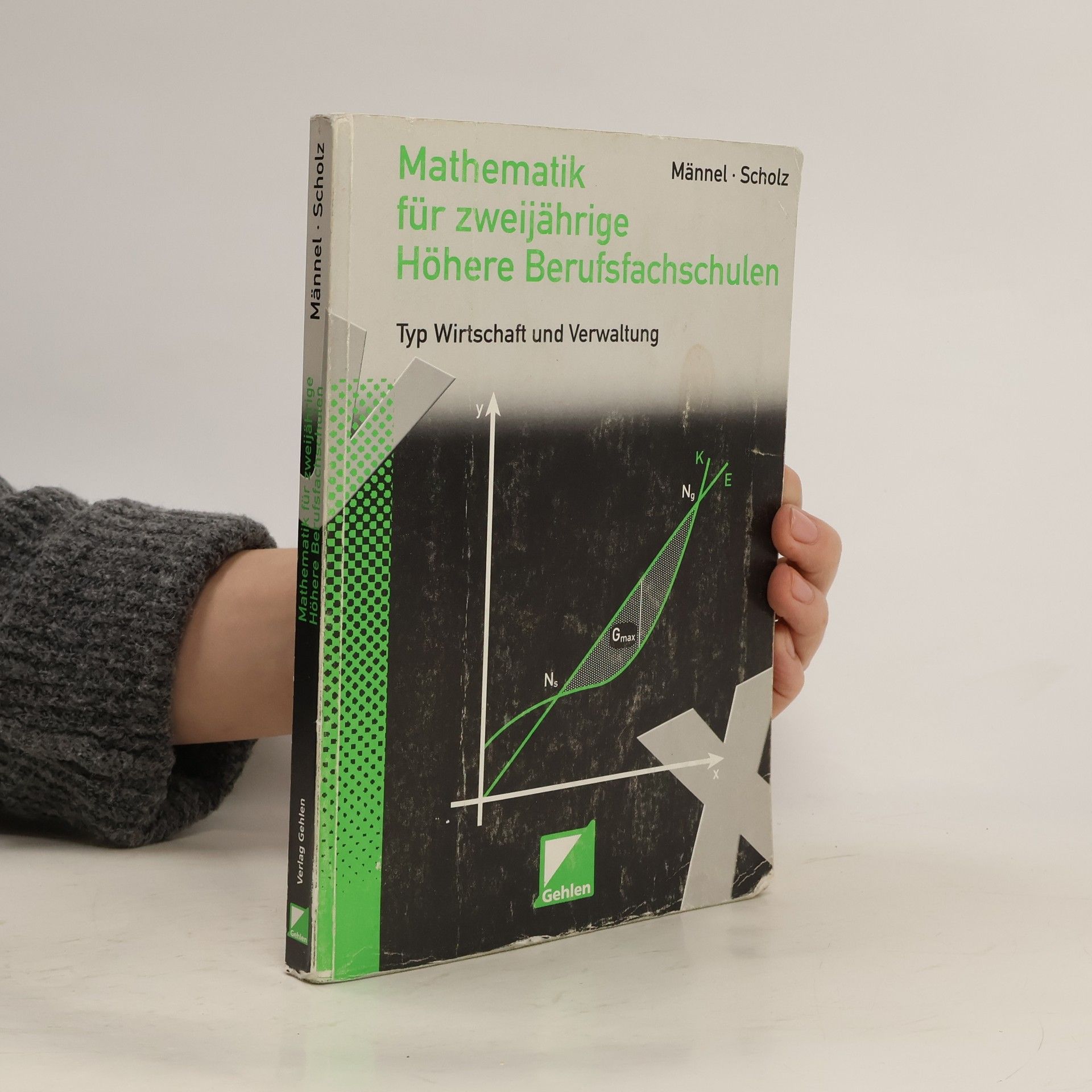 Kolektiv autorů Mathematik für zweijährige höhere Berufsfachschulen, Typ Wirtschaft und Verwaltung