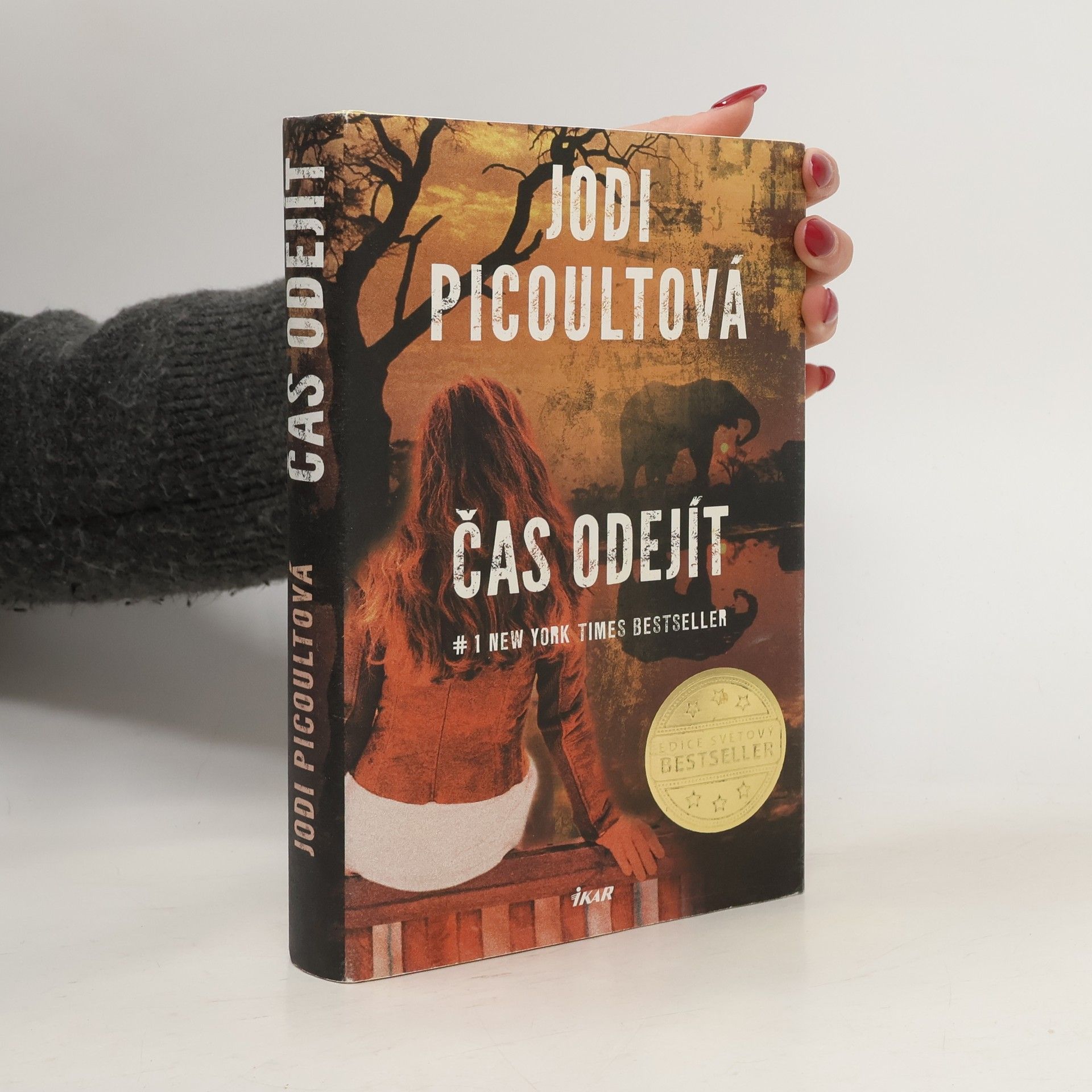 Jodi Picoult Čas odejít