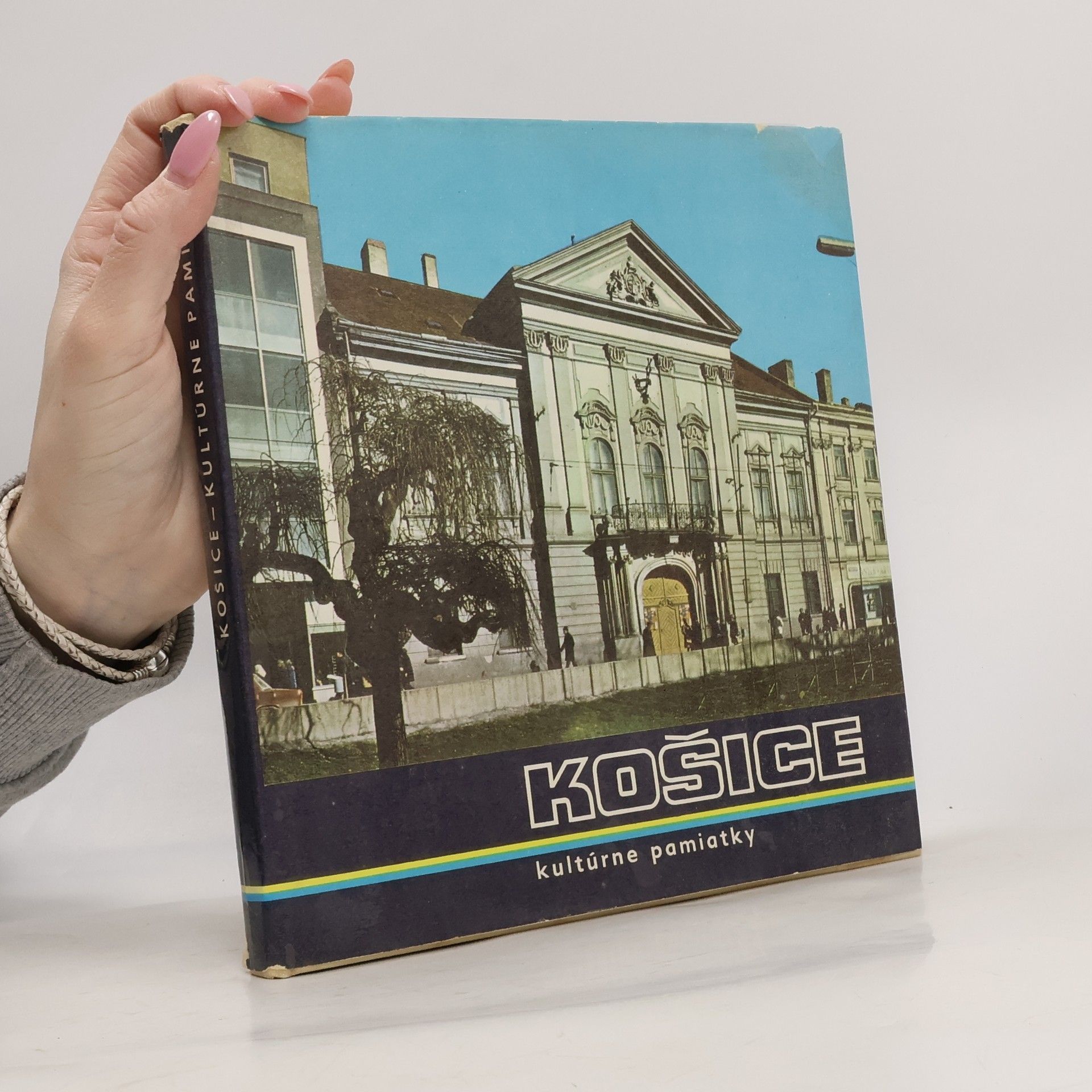 Alexander Frický Košice, kultúrne pamiatky