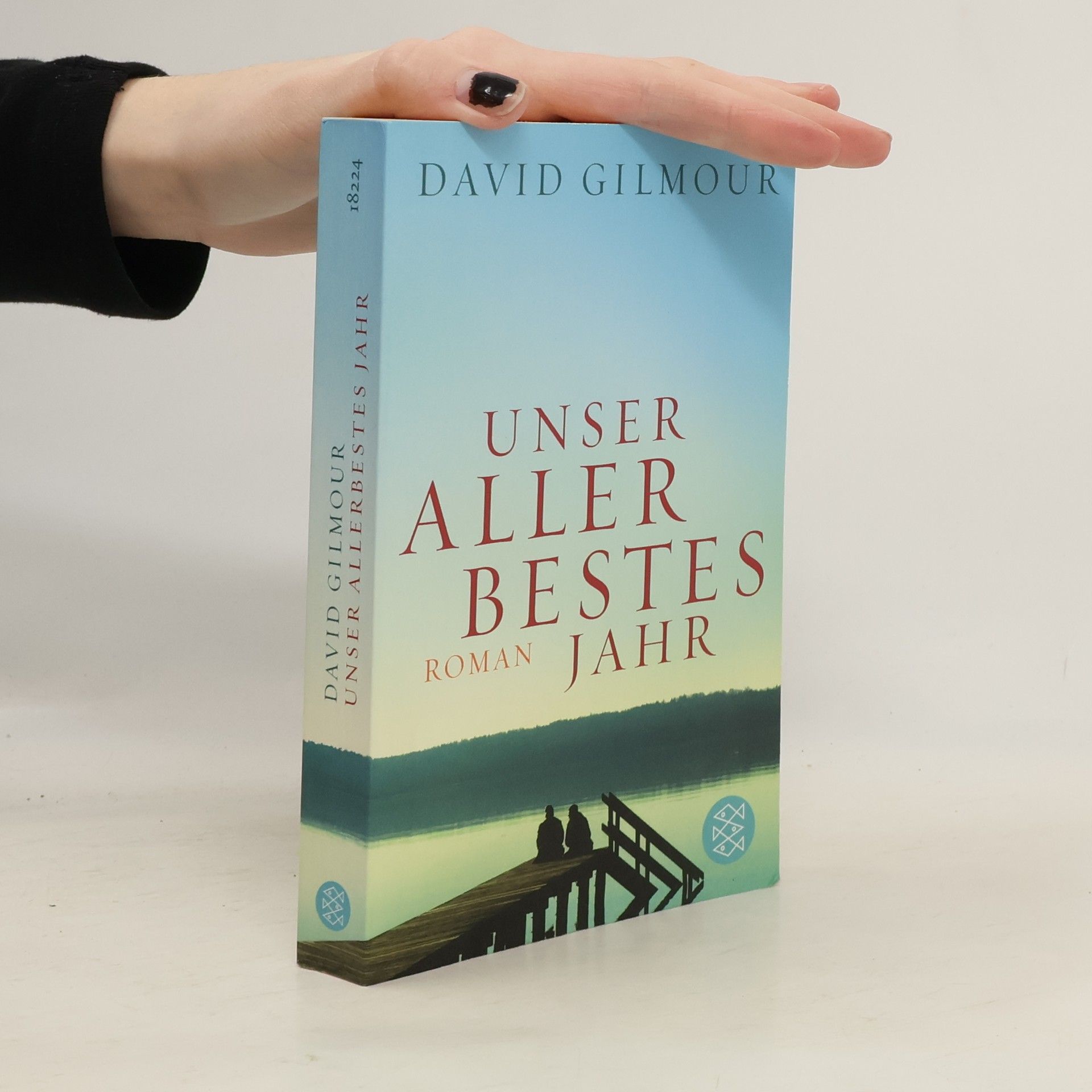 David Gilmour Unser allerbestes Jahr