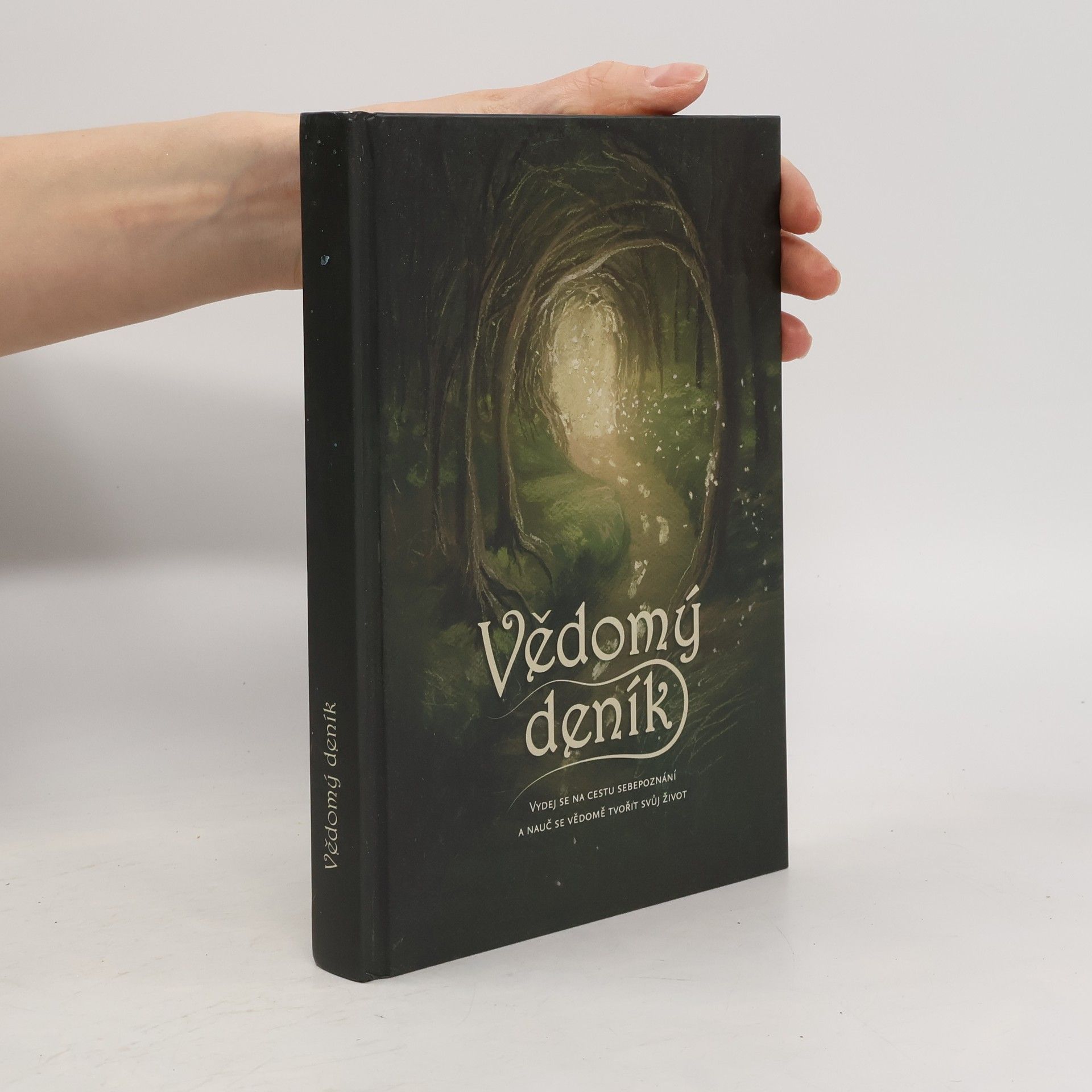 Vědomý deník : vydej se na cestu sebepoznání a nauč se vědomě tvořit svůj život