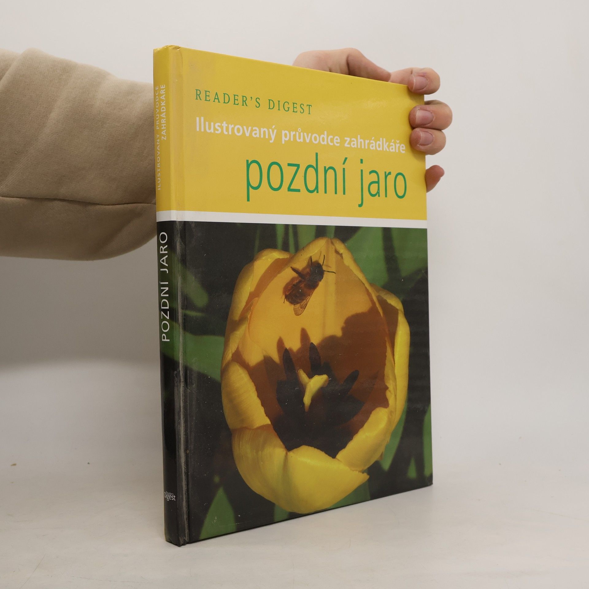 Steve Bradley Pozdní jaro