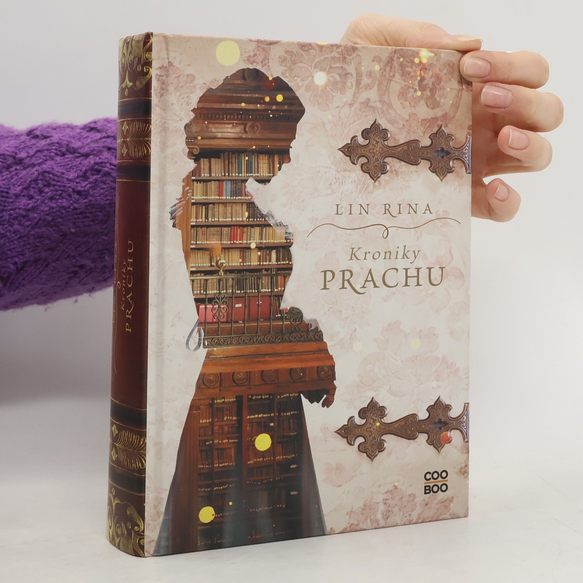 Lin Rina Kroniky prachu