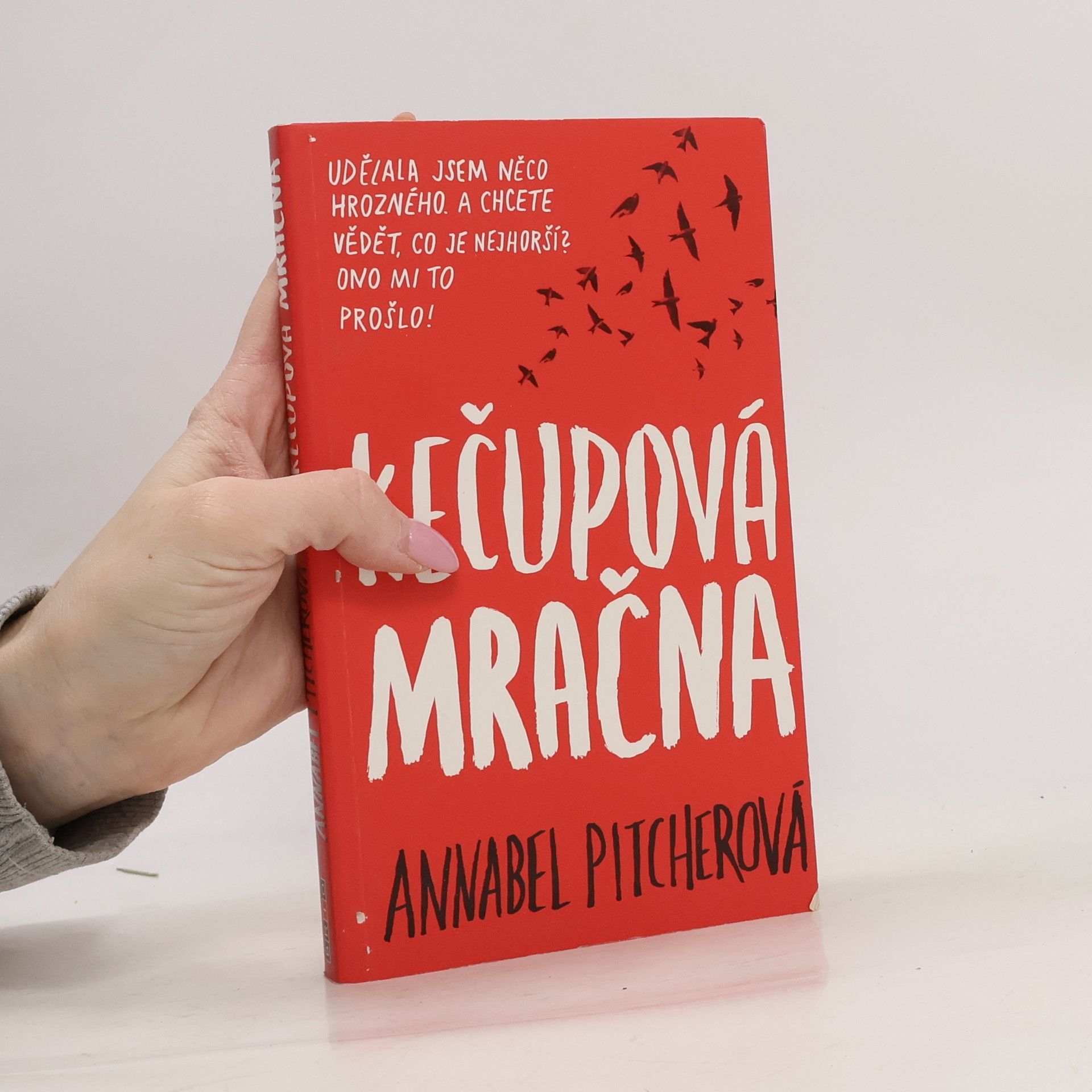 Annabel Pitcher Kečupová mračna