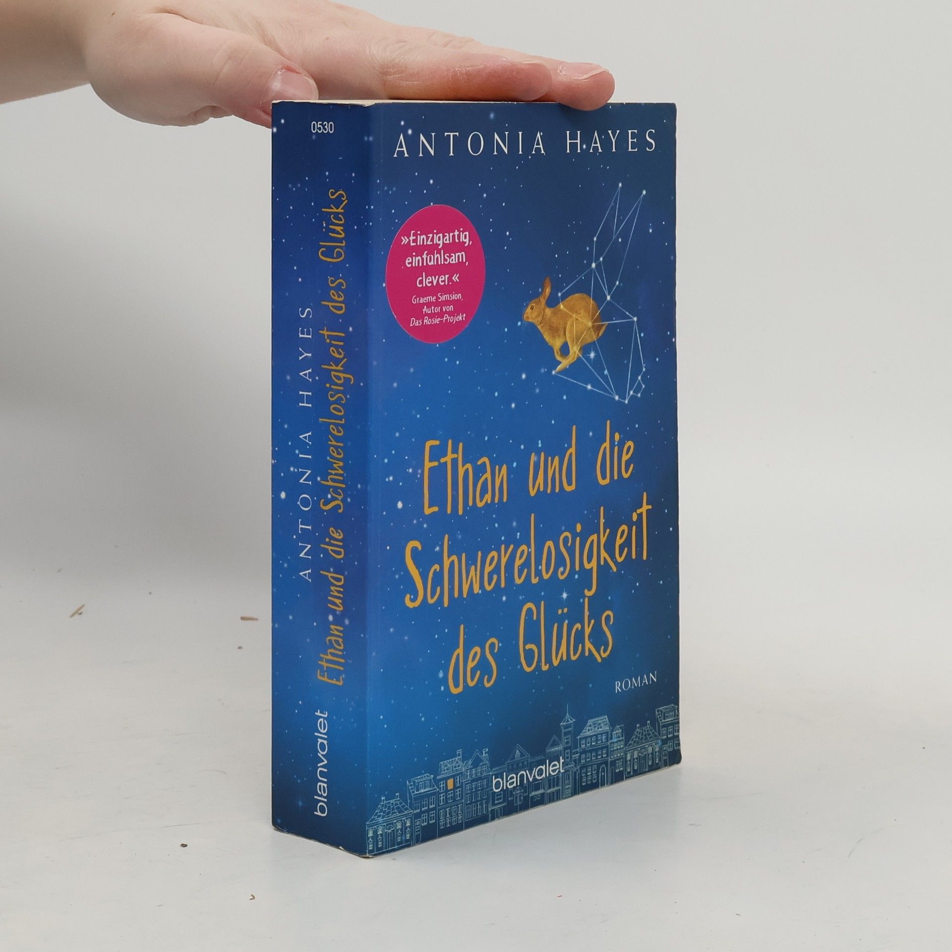 Antonia Hayes Ethan und die Schwerelosigkeit des Glücks