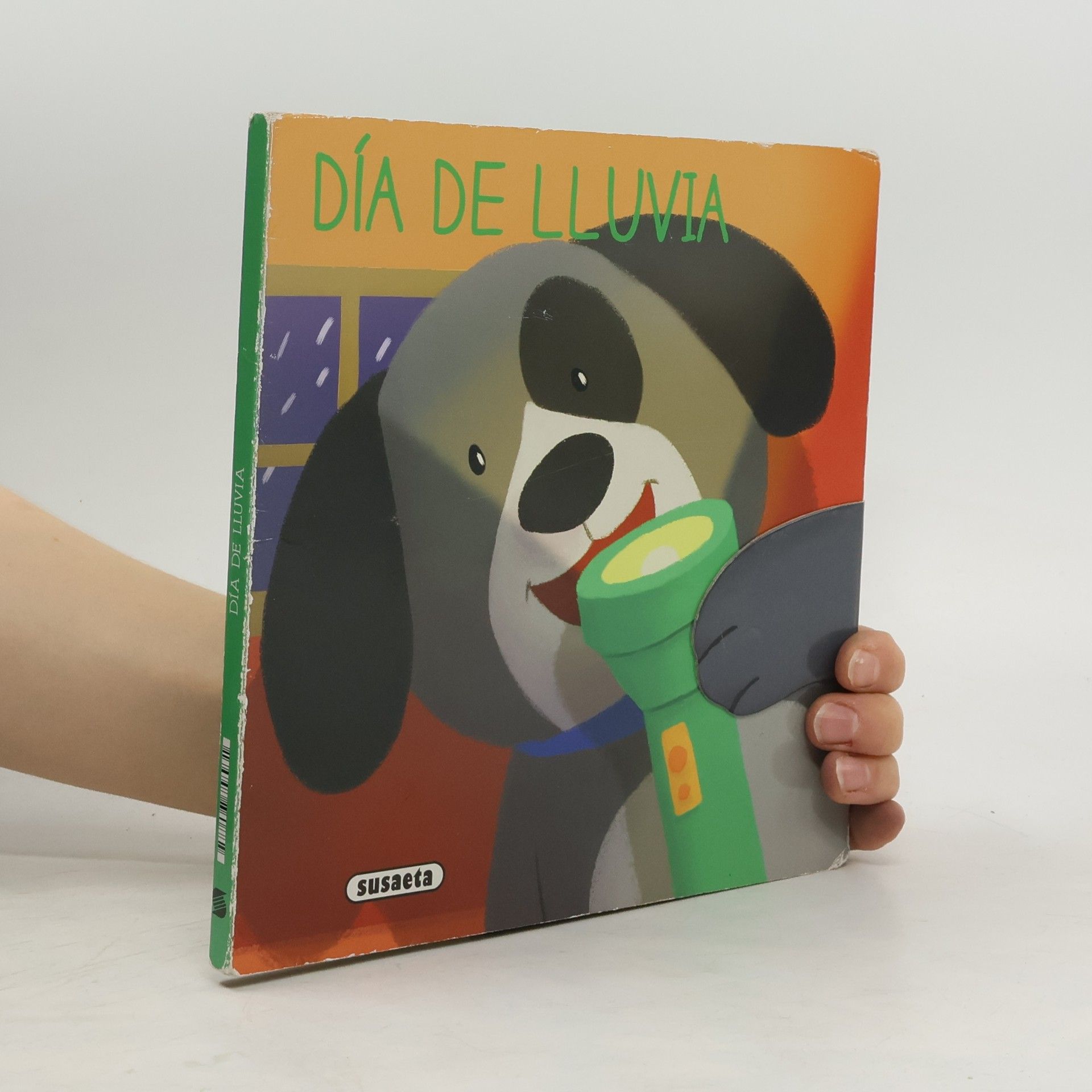 Equipo Susaeta Día de lluvia