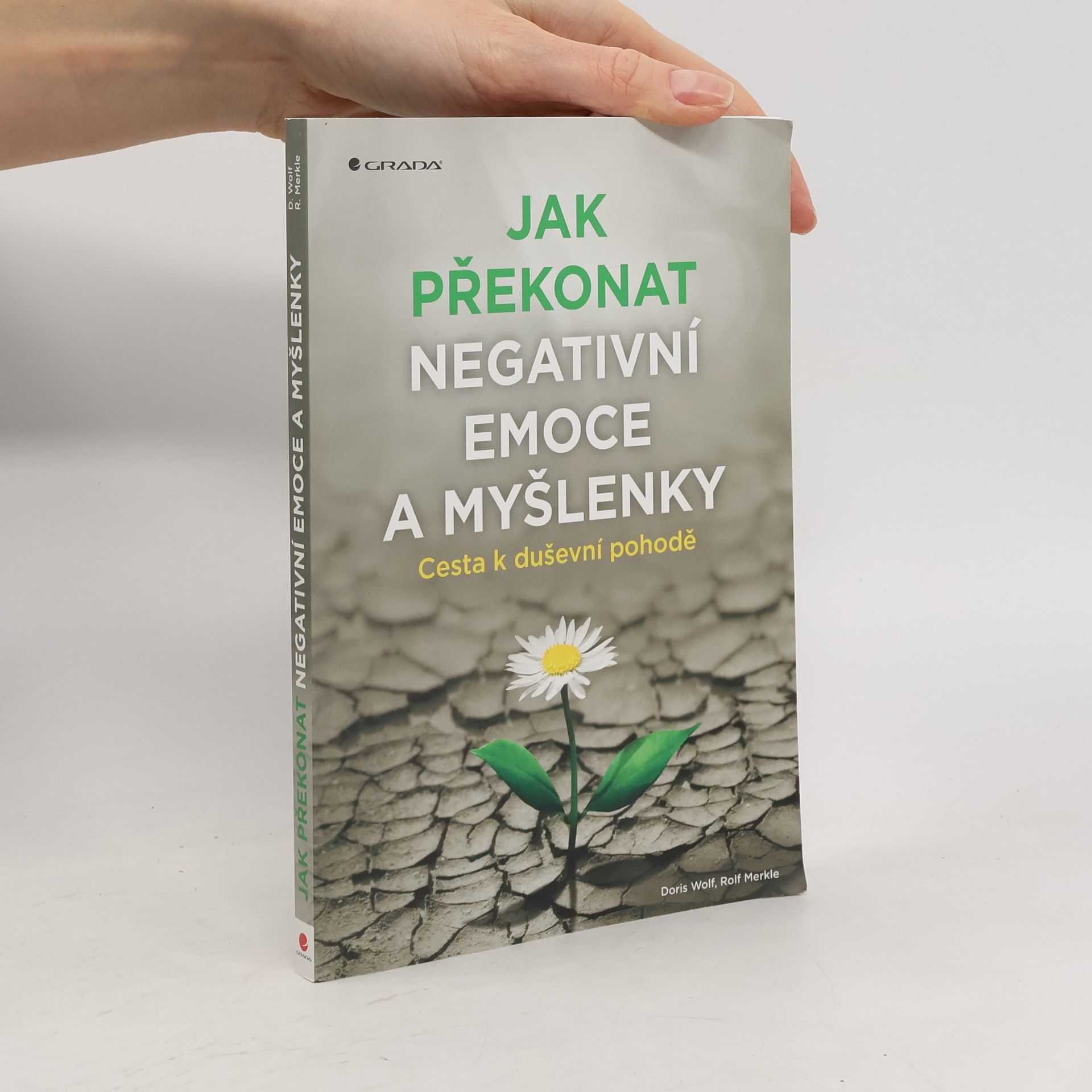 Jak překonat negativní emoce a myšlenky : cesta k duševní pohodě