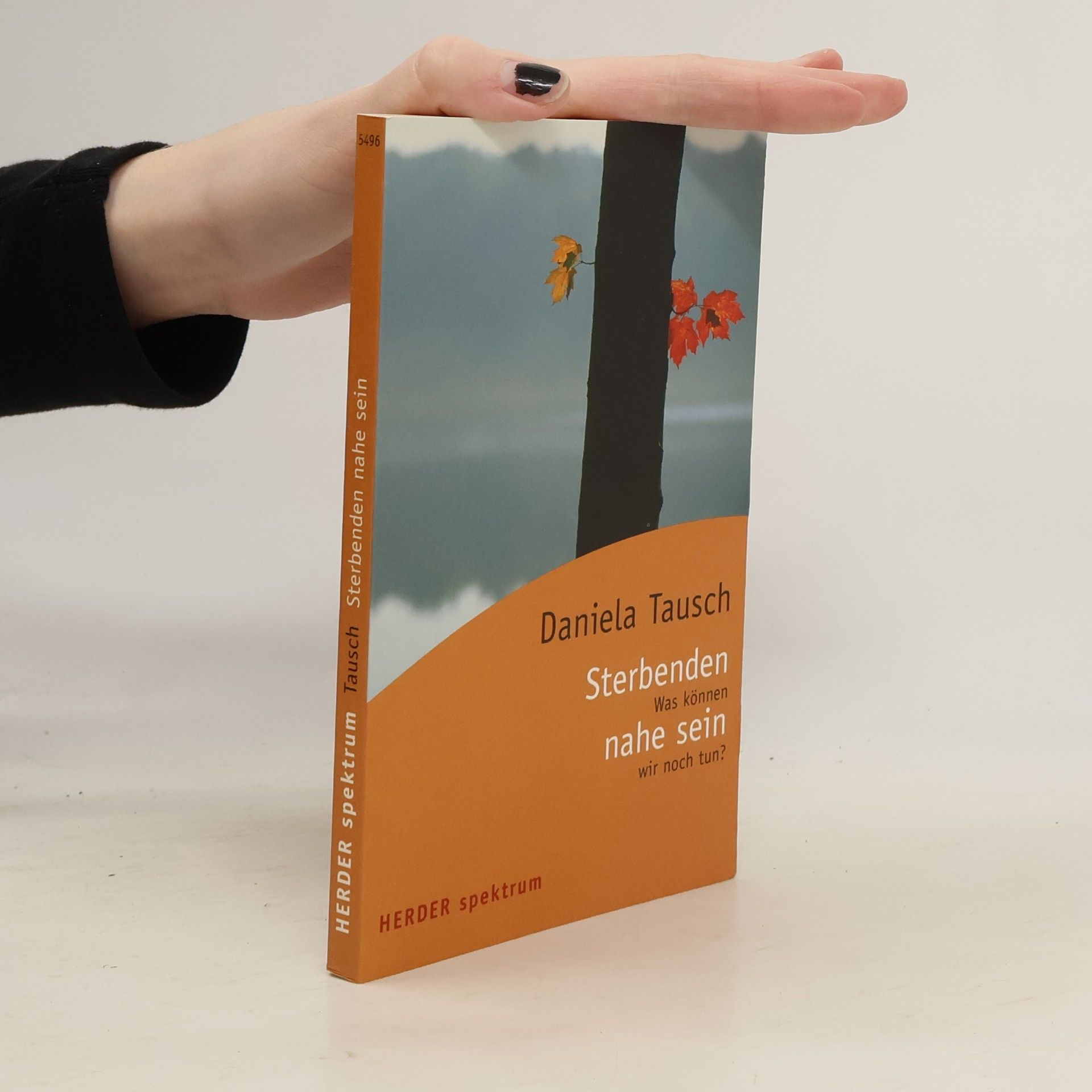 Sterbenden nahe sein