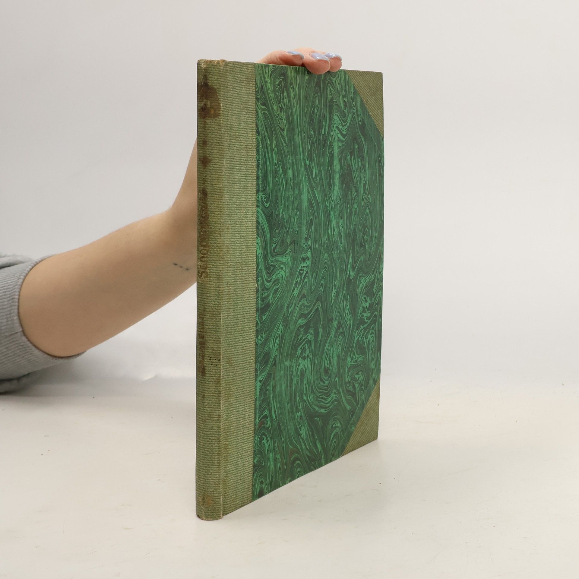 Raphaël Bazardjian Schopenhauer, der Philosoph des Optimismus