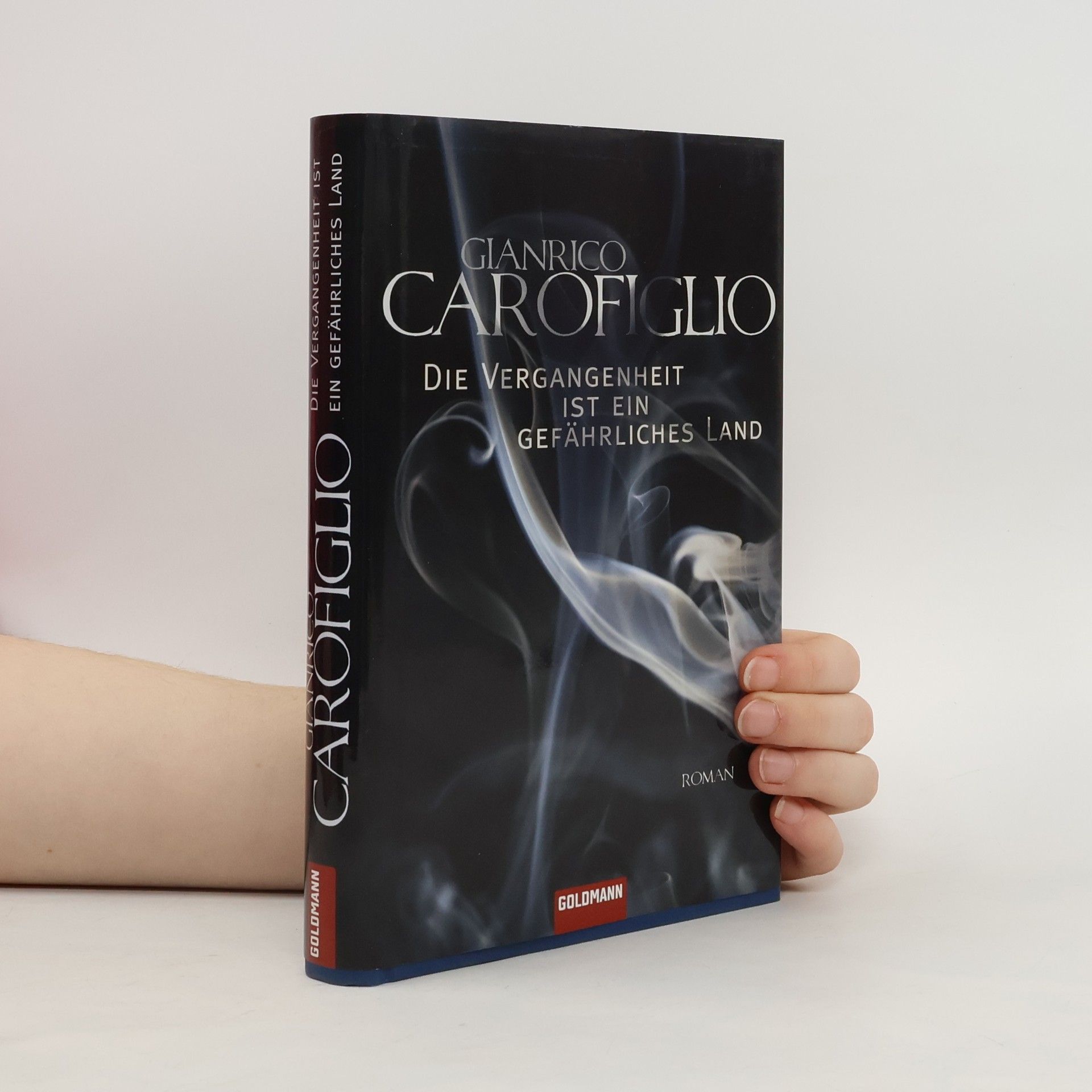 Gianrico Carofiglio Die Vergangenheit ist ein gefährliches Land
