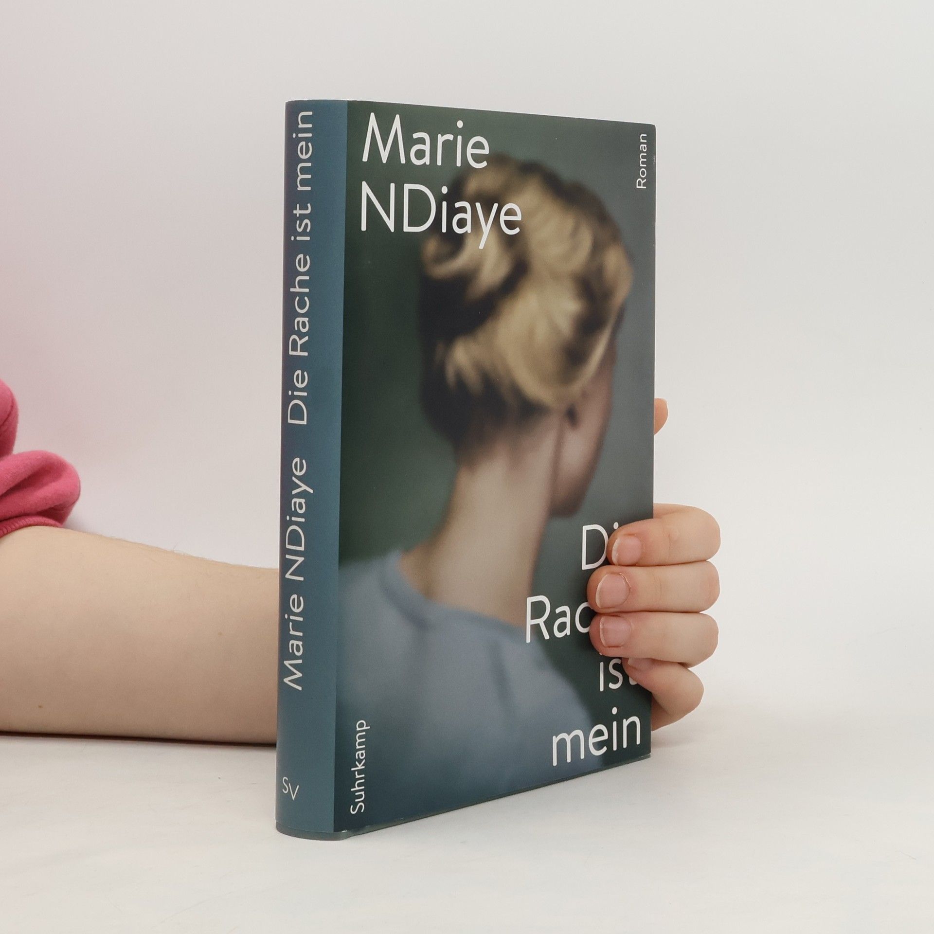 Marie NDiaye Die Rache ist mein