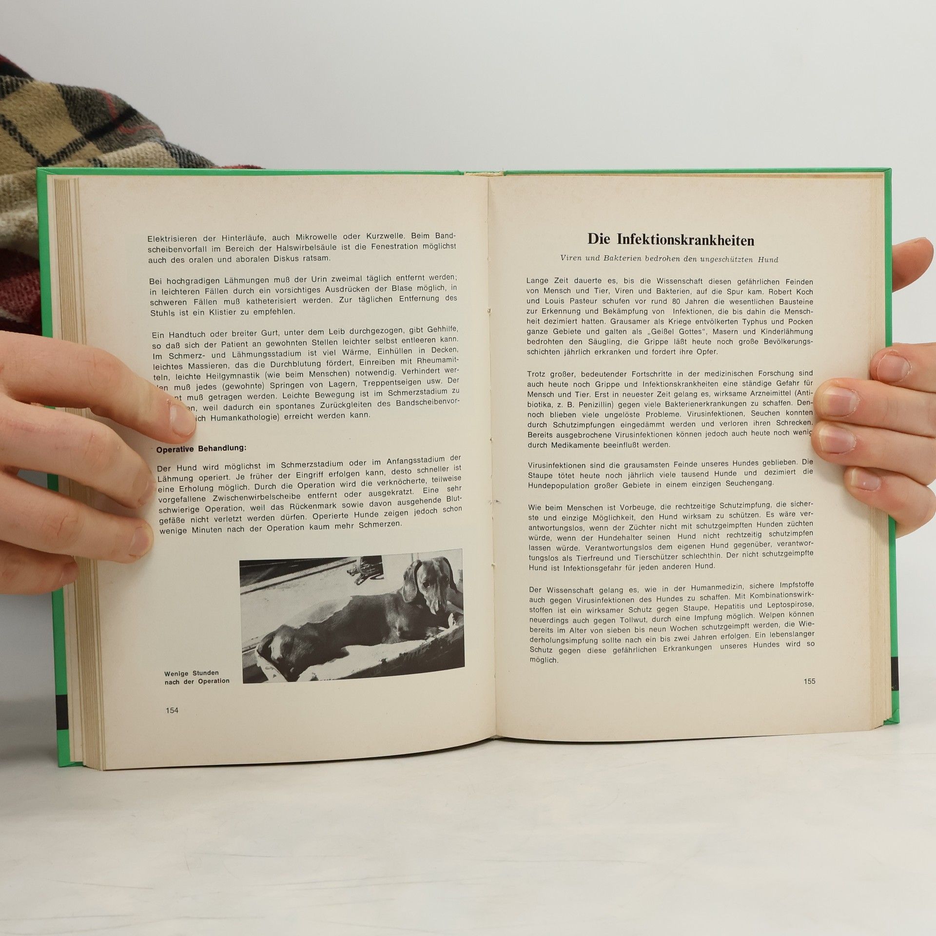 Autorenkollektiv Unsere Dackel - Unsere Freunde