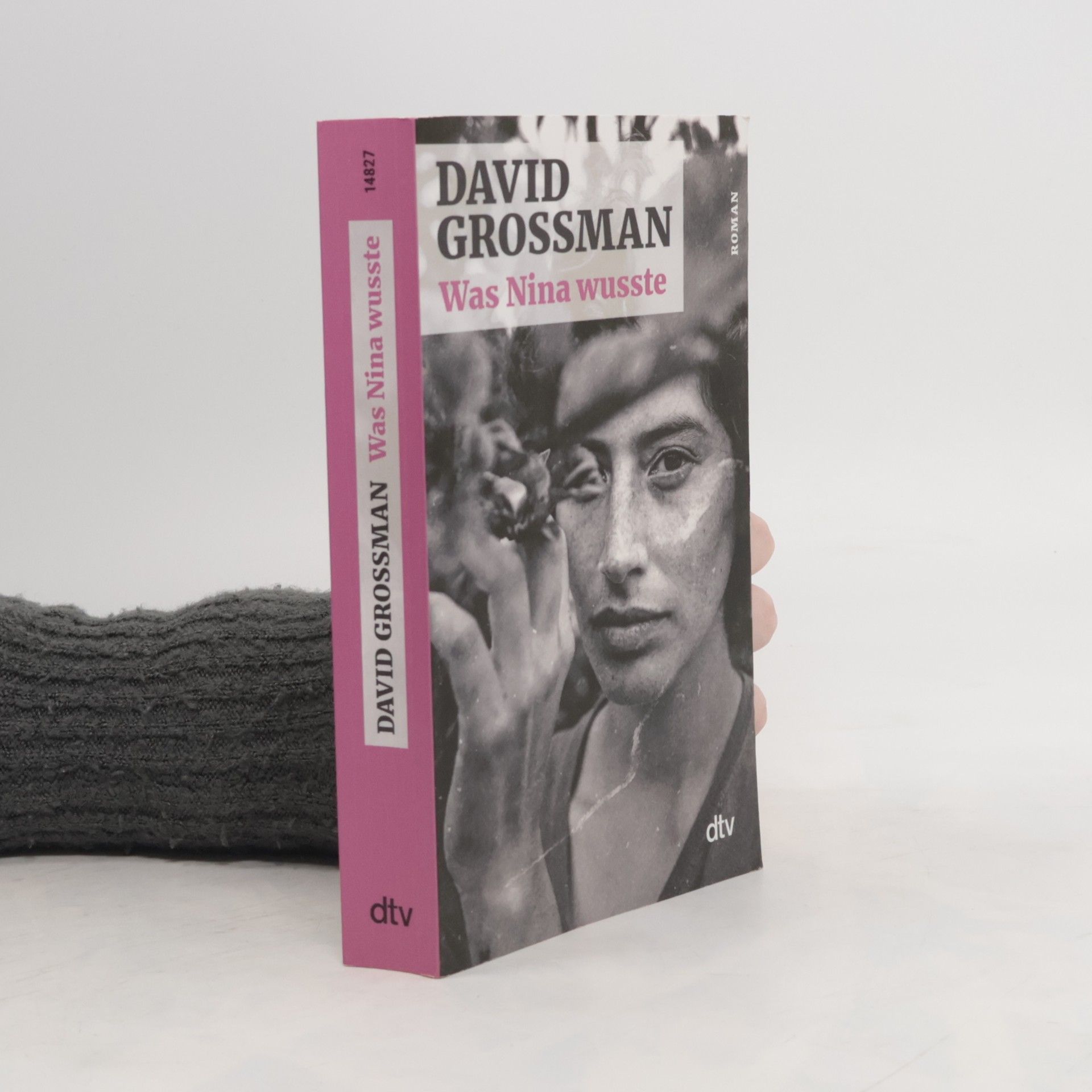 David Grossman Was Nina wusste