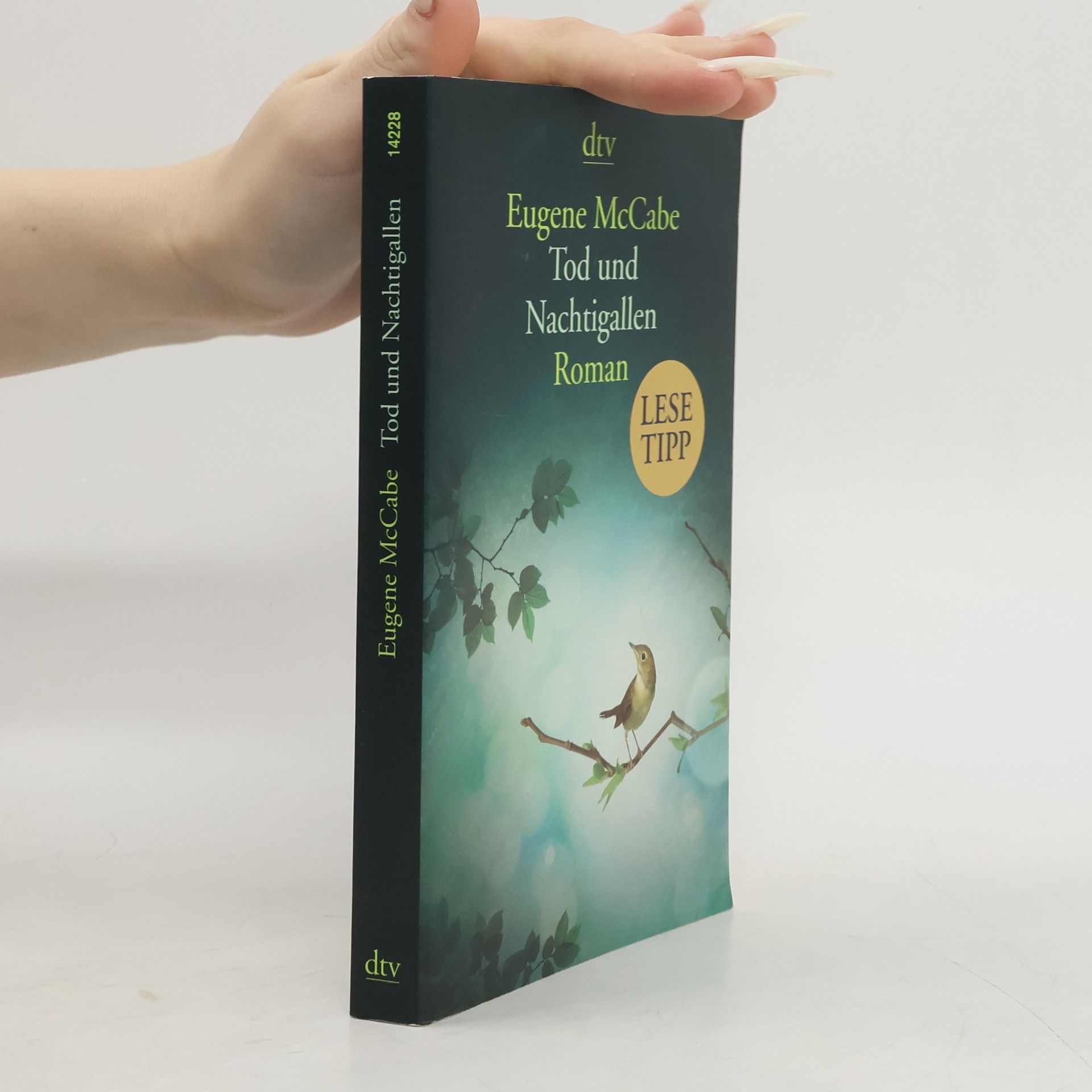 Eugene McCabe Tod und Nachtigallen