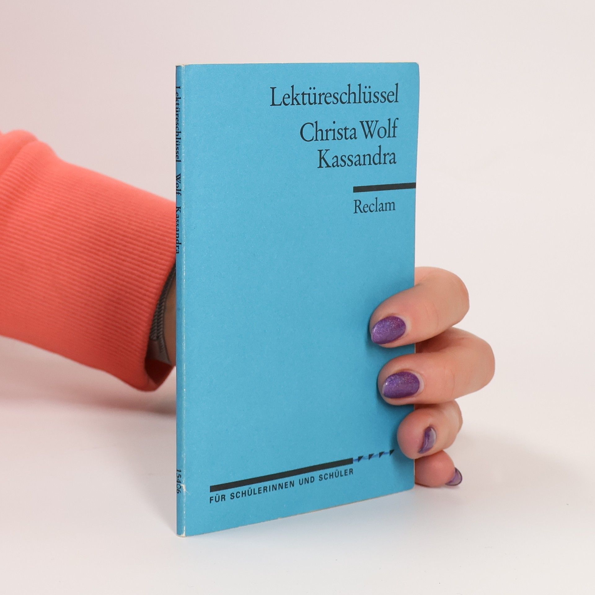 Mario Leis Christa Wolf, Kassandra