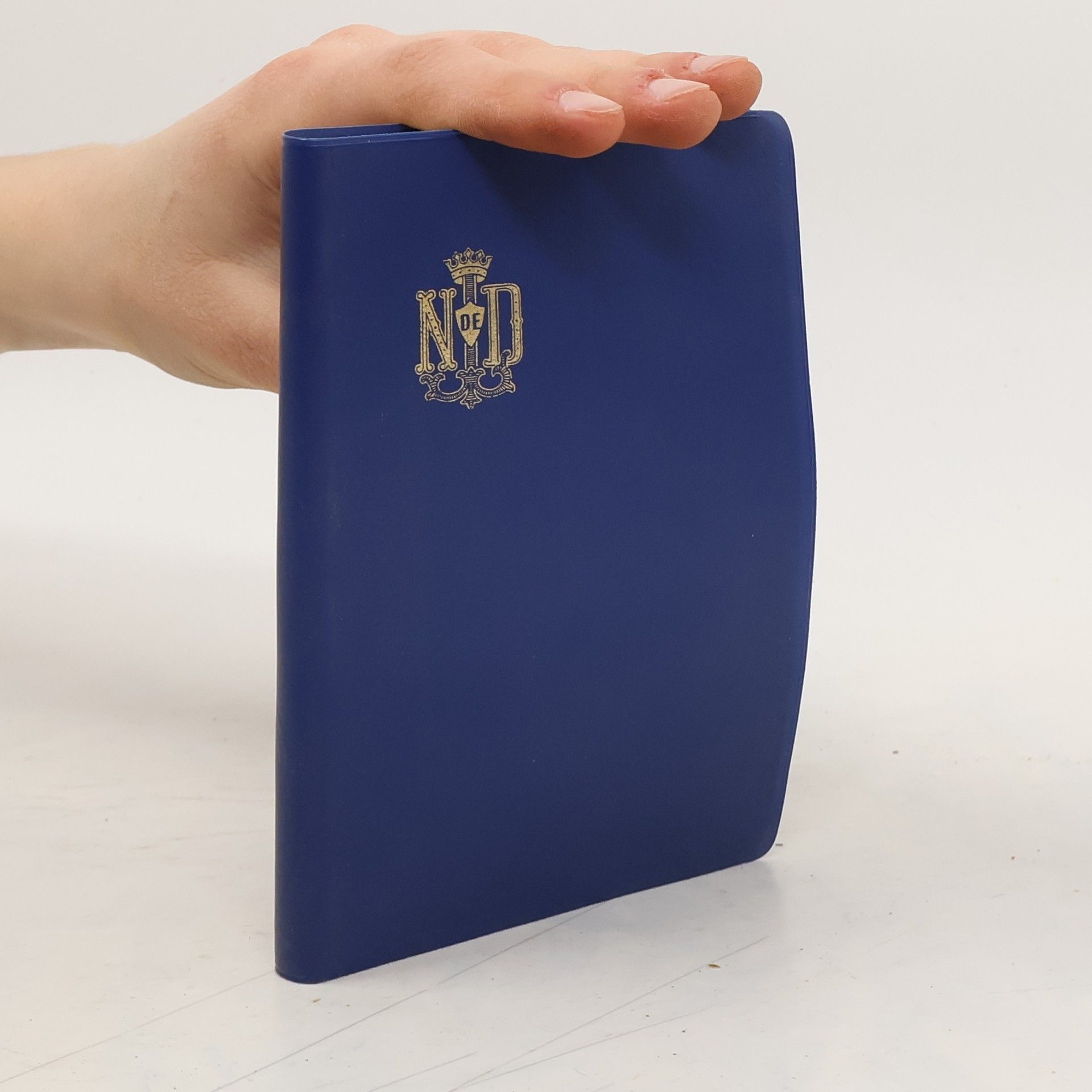 Collectif d'auteurs Pilgerbuch des deutschen Lourdes-Verein