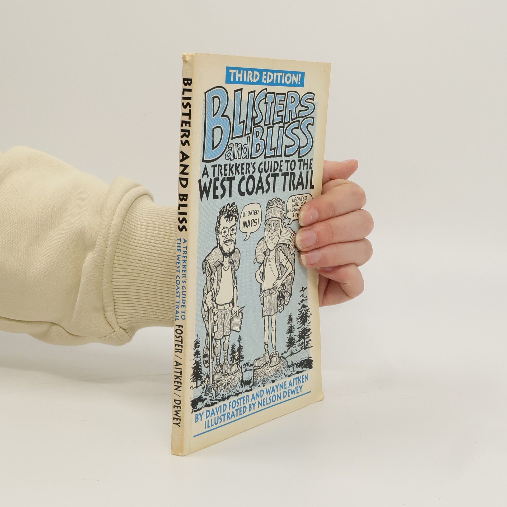 David Foster Blisters and Bliss