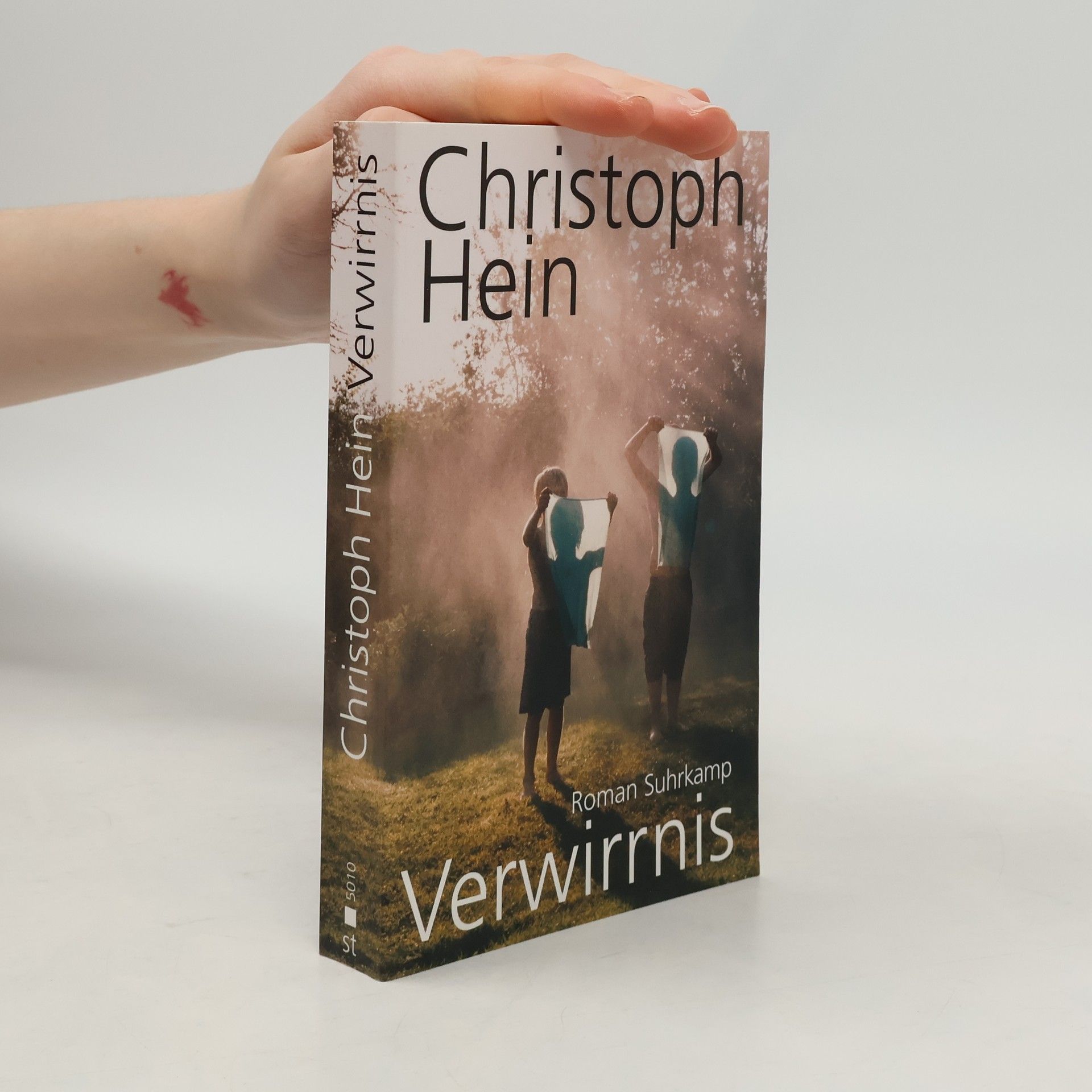 Christoph Hein Verwirrnis