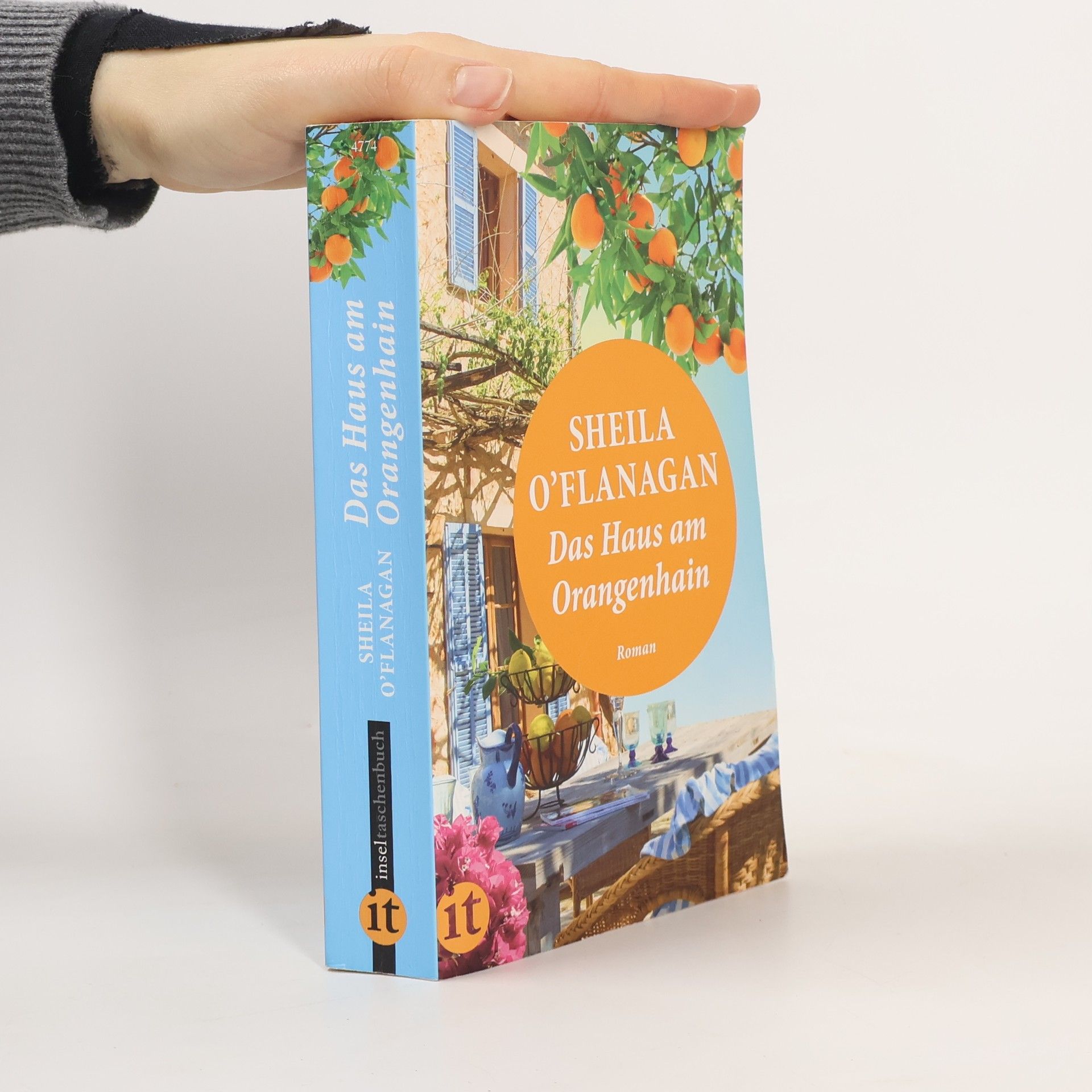 Sheila O'Flanagan Das Haus am Orangenhain