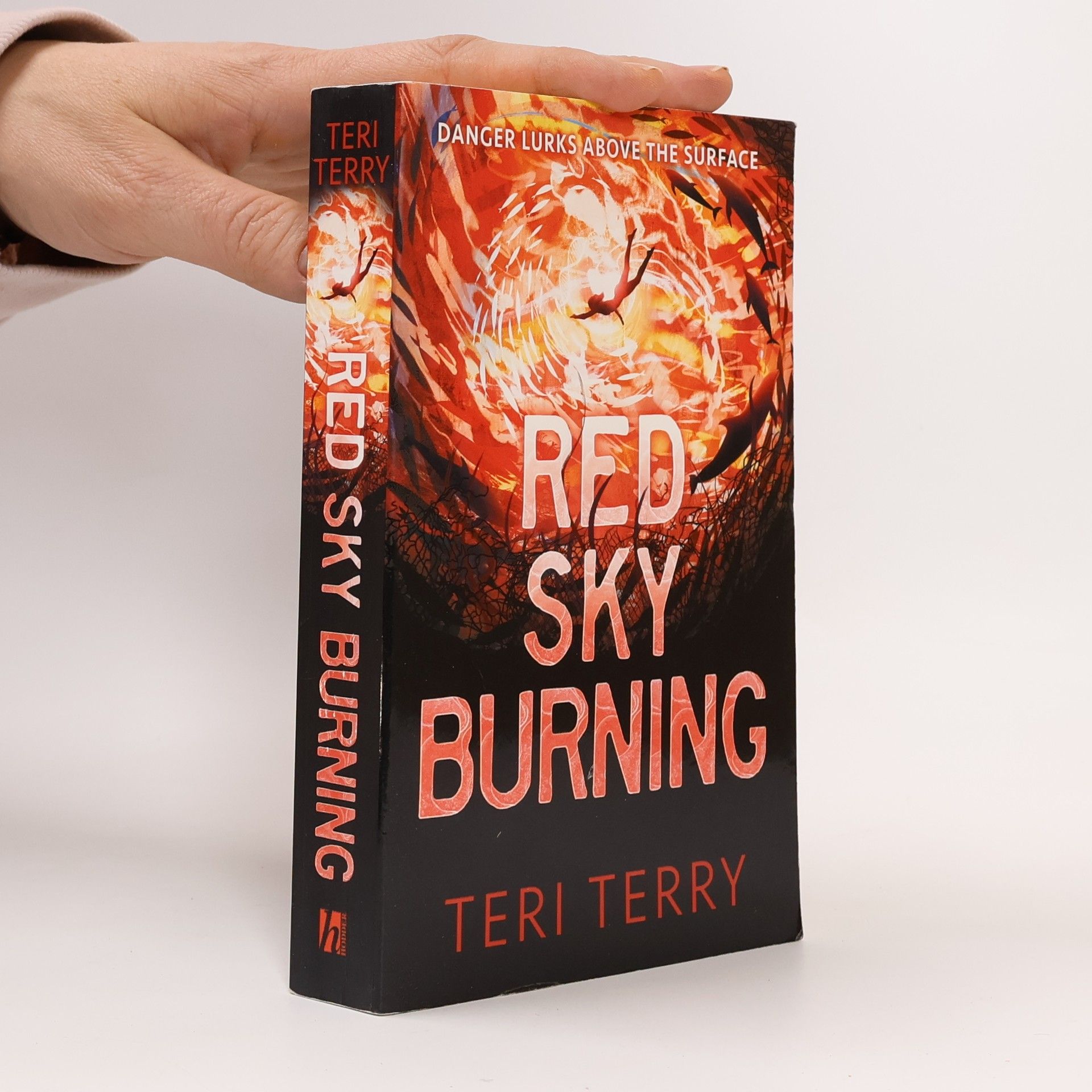 Teri Terry Red Sky Burning