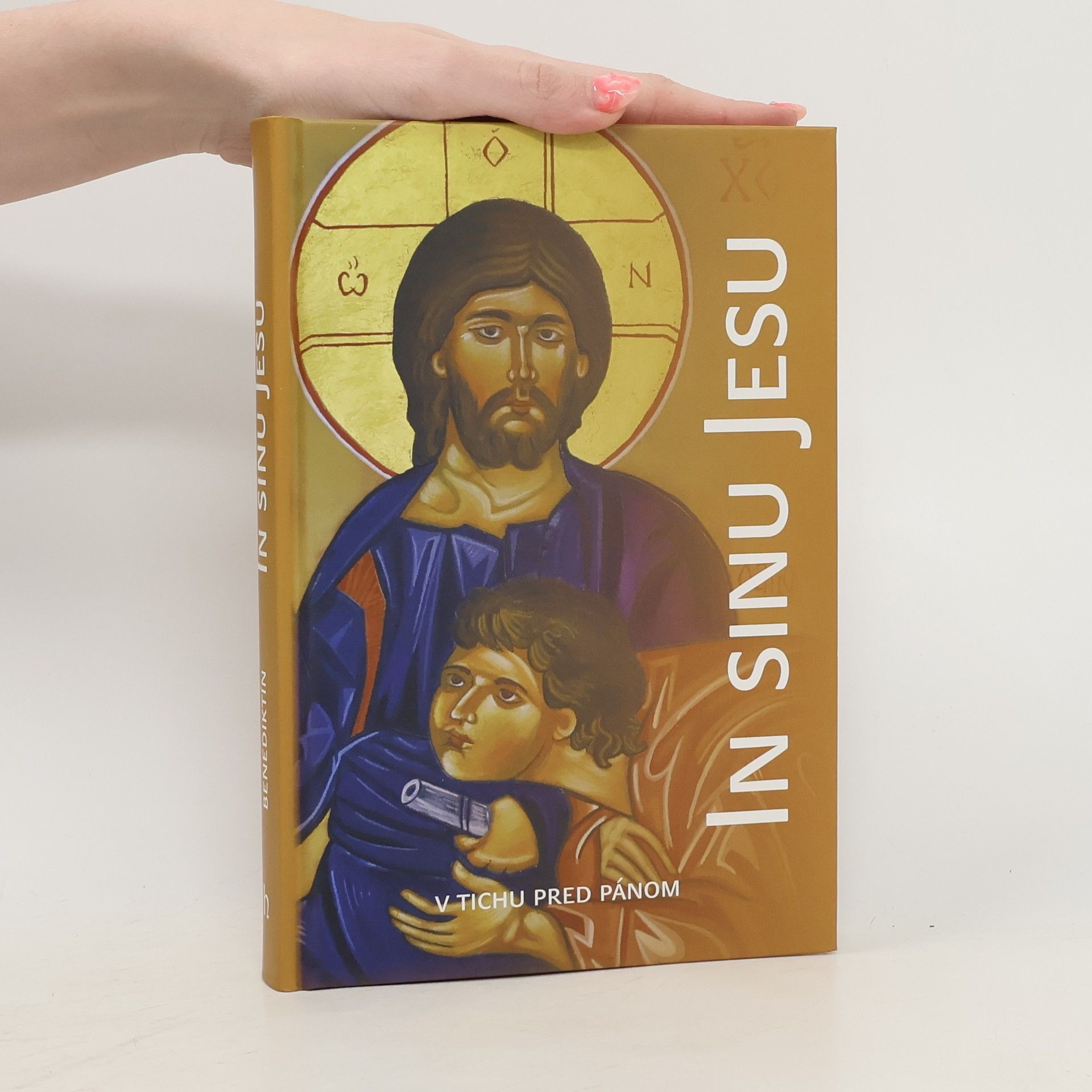 Kolektiv autorů In sinu Jesu