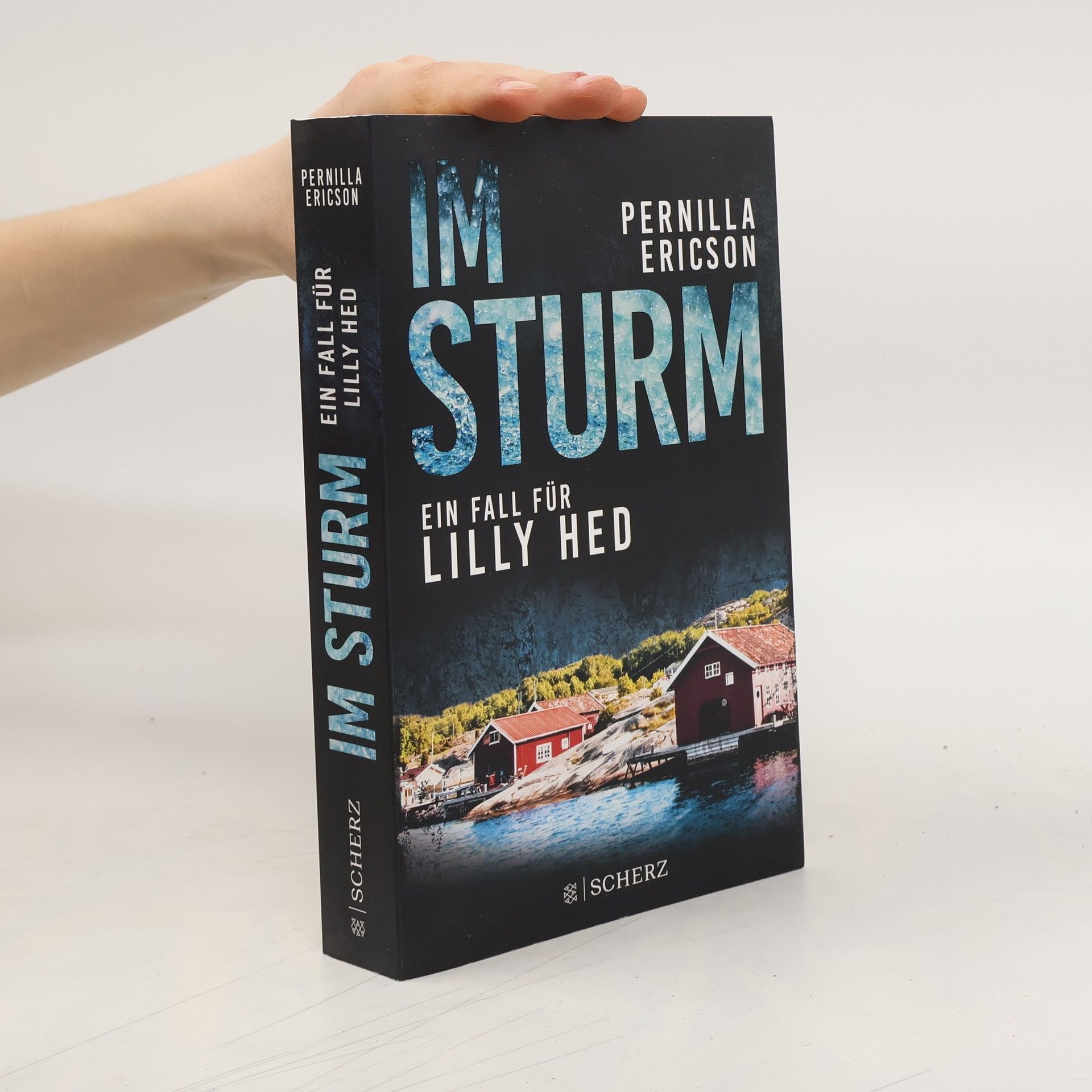 Pernilla Ericson Im Sturm